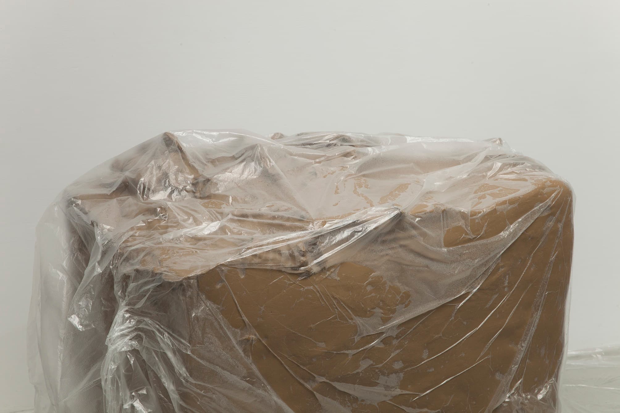 一個青年雕塑家的畫像