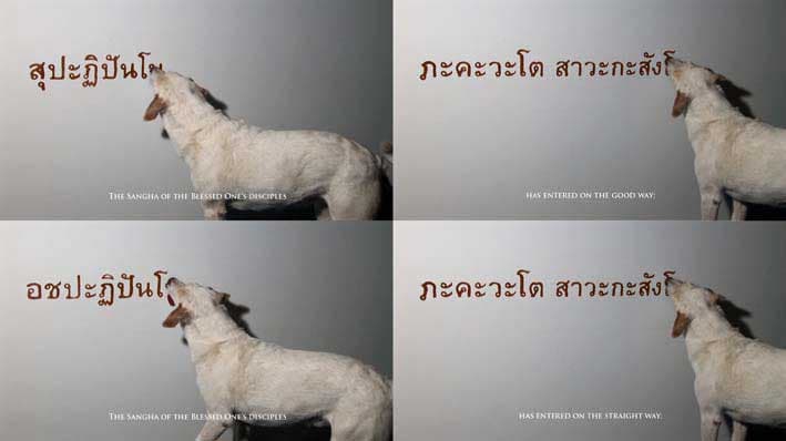 泰國小乘佛教誦經選