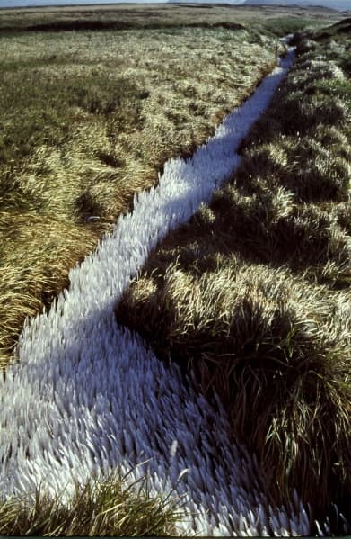 Losing In the Space（有同名作品，待確認）