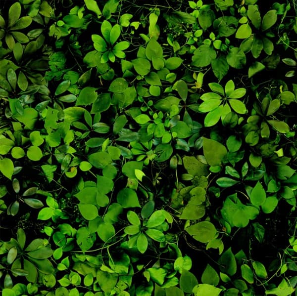 逝去中的風景– 十一月