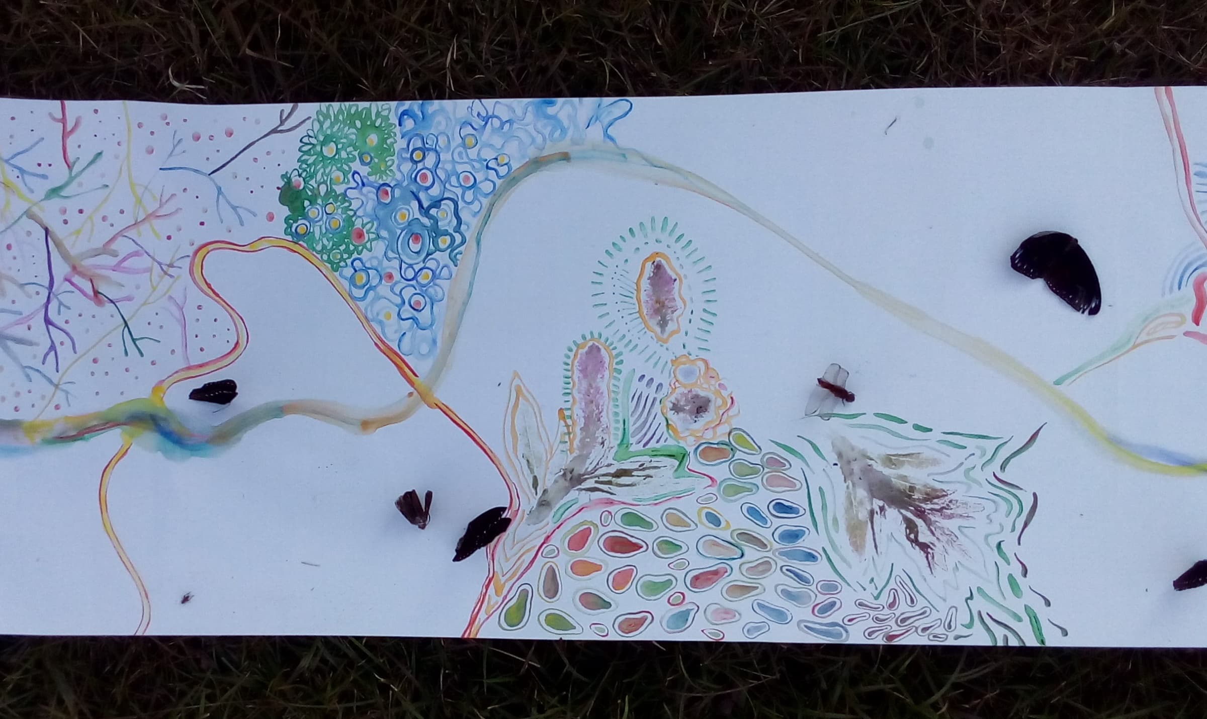 batch_23Juillet2016-25