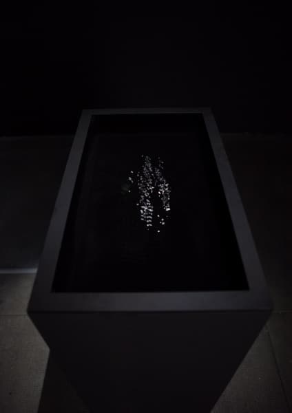 Seen/Unseen N°0 [hyper.data ver.]