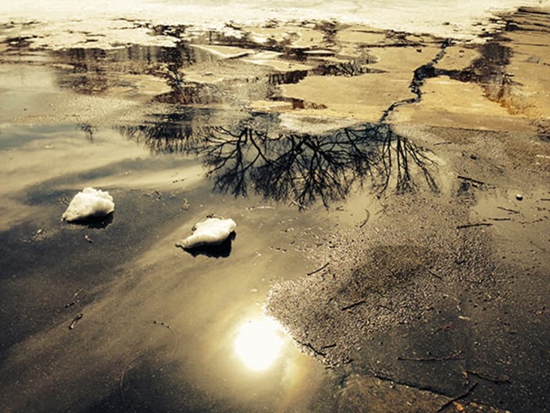 百日計劃— 七七