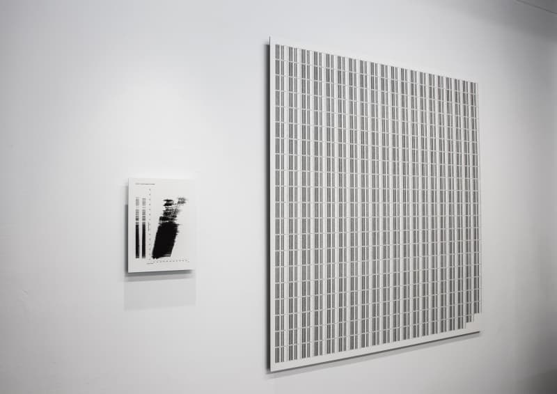 800px-CYT-HDN2bHBRD-04