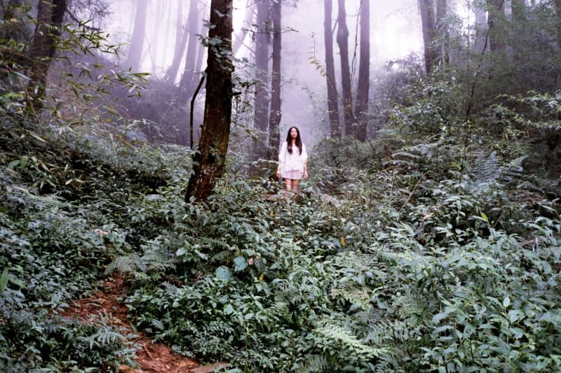 當末日冰塊融化之時，那裏沒有人回應