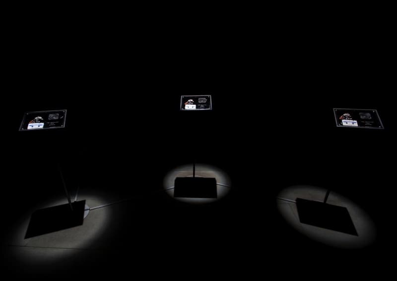 800px-Trembling-Symphony01