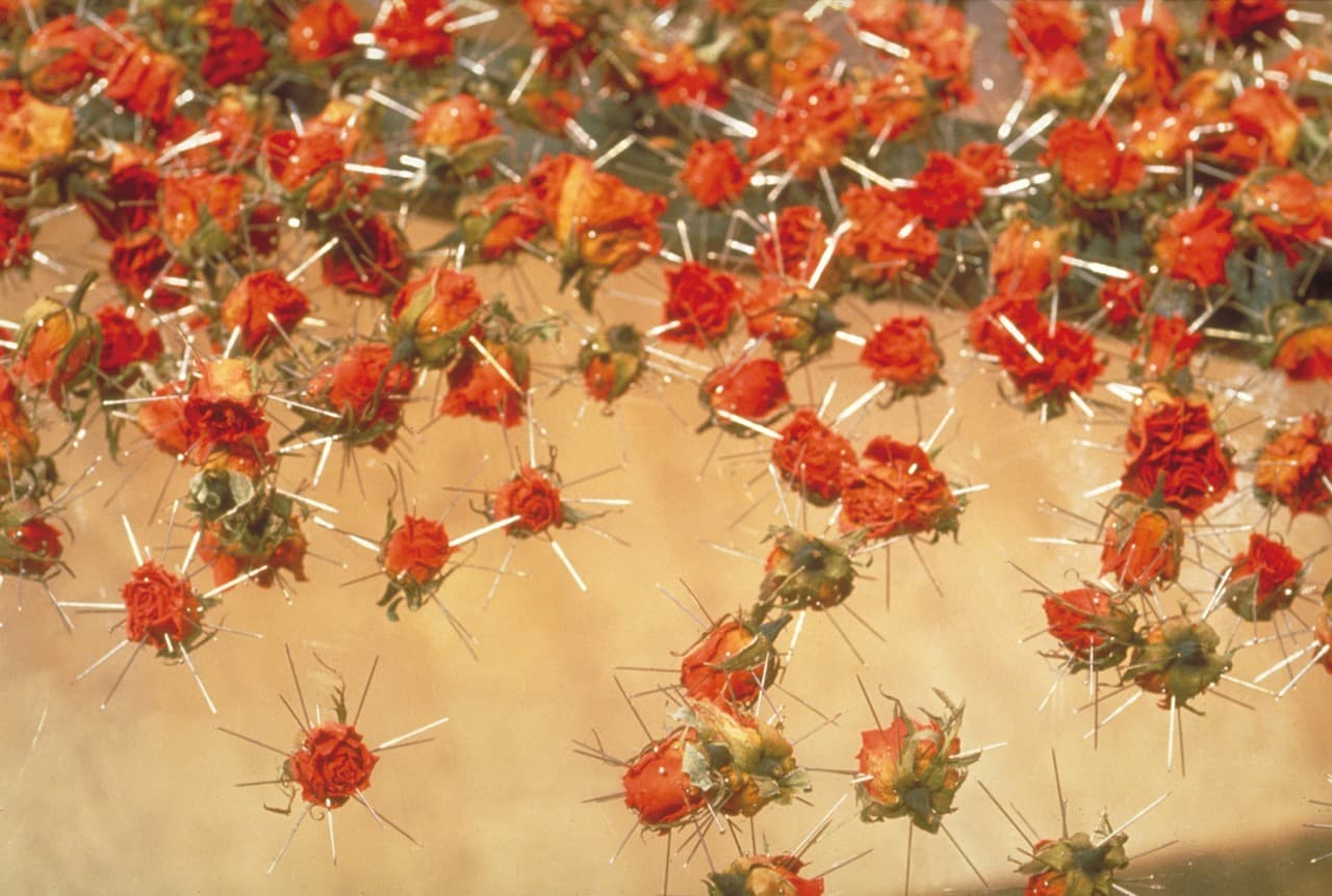 妳是玫瑰我是針（局部）