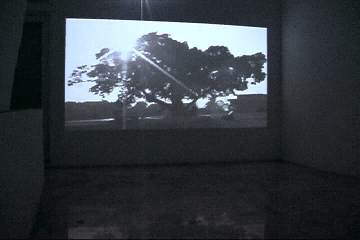 真實繁衍─穿越