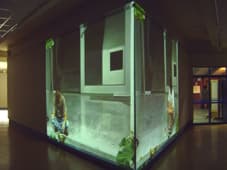 在不在都無所謂