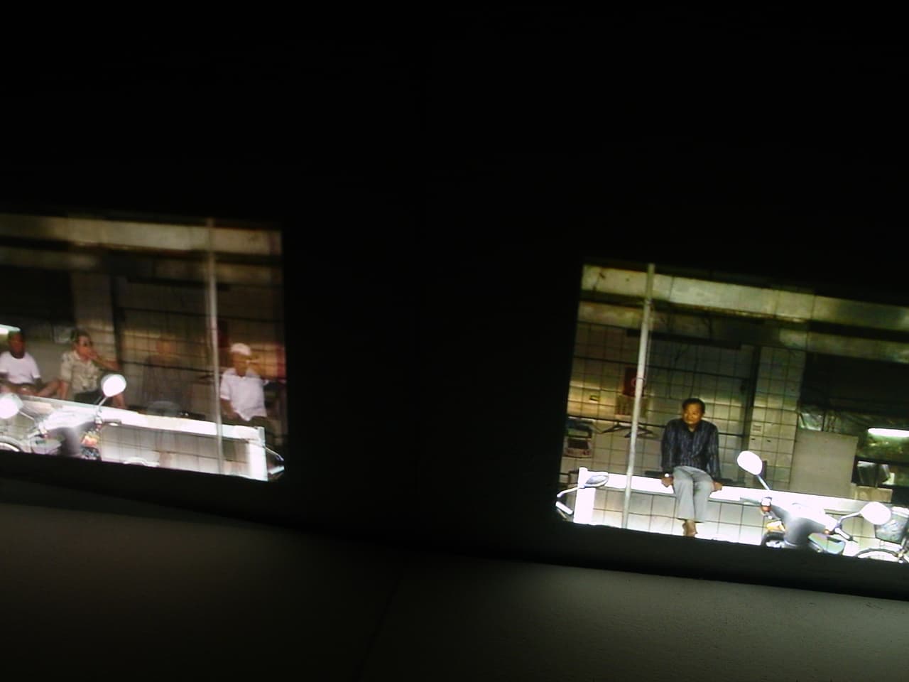 真實繁衍─旁觀者