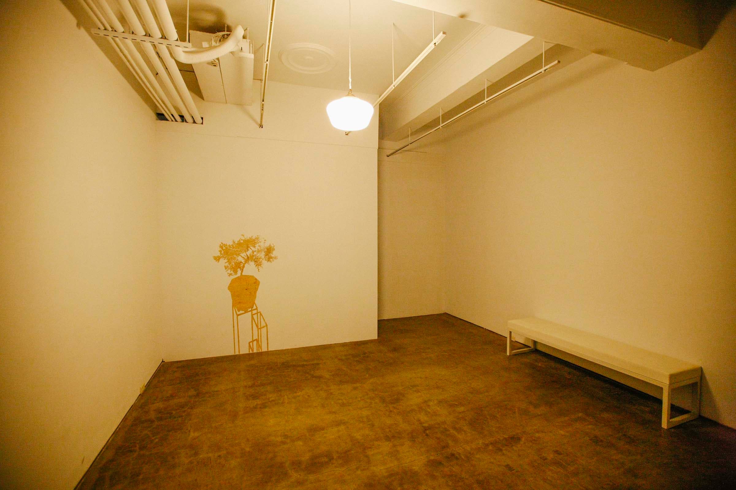 玉山圓柏Juniperus-squamata2