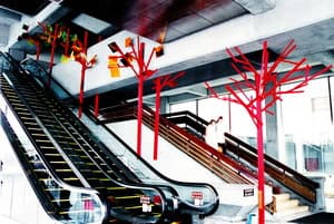 花開在樹叢裏， 不管有沒有人欣賞， 不管有沒有人經過，它始，終散發著它自己的芳香，人，您不要幻覺以為它是為………