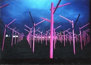 人與環境與自然