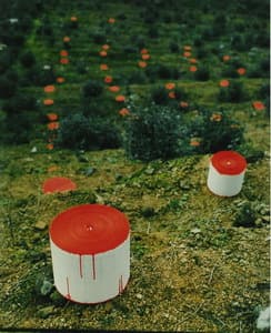 紙是樹的延伸 人的生命，，，生活是 ，紙的延伸 B