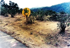 人的情緒和自然的關係