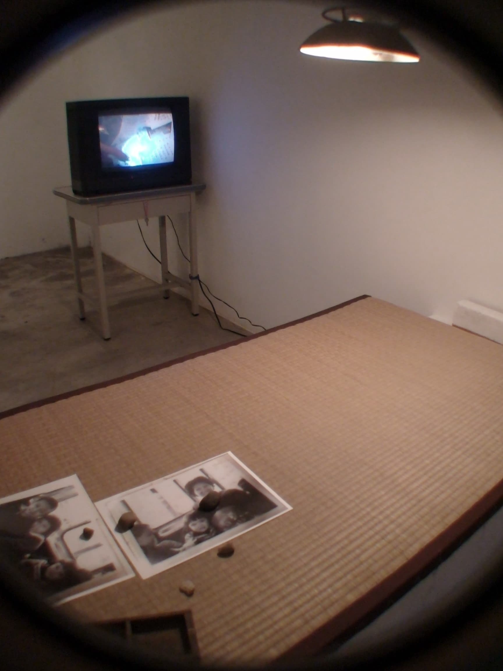 THC-IGTXAEstage1PI-25