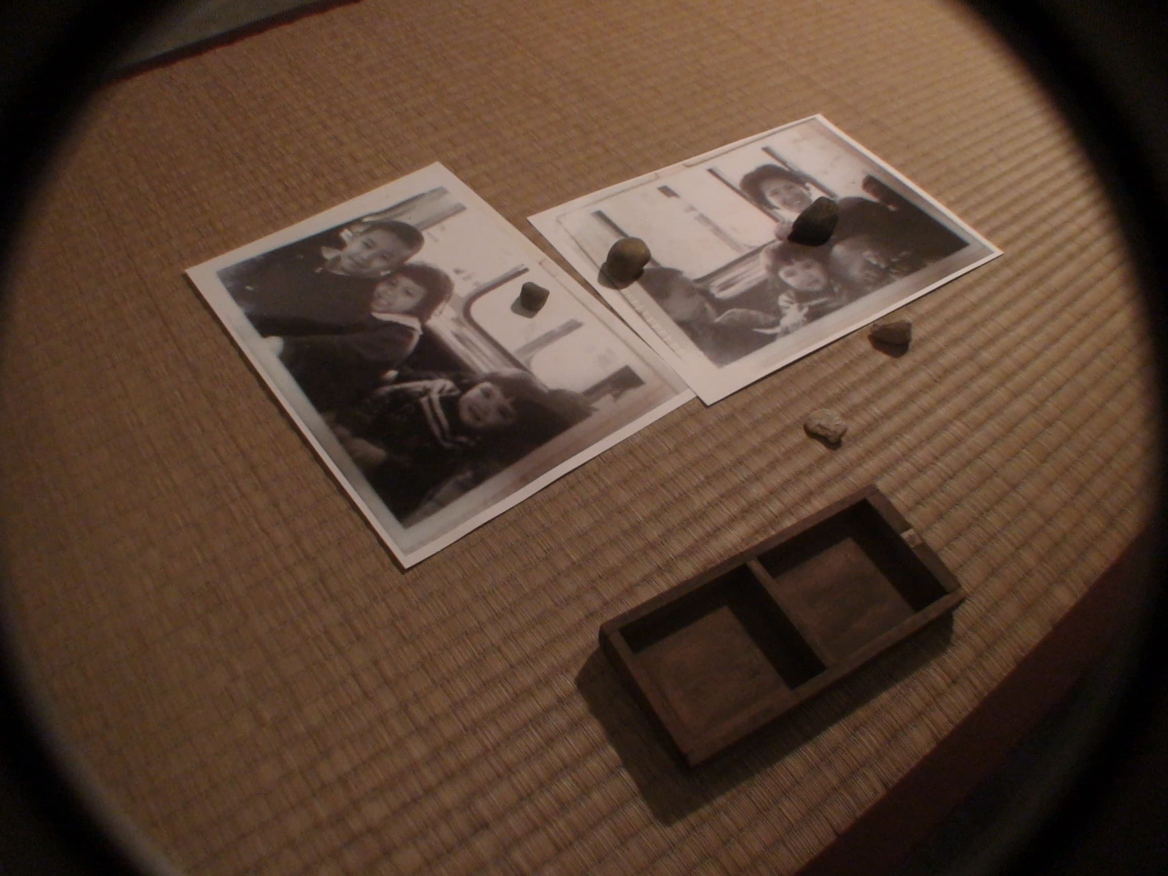 THC-IGTXAEstage1PI-56