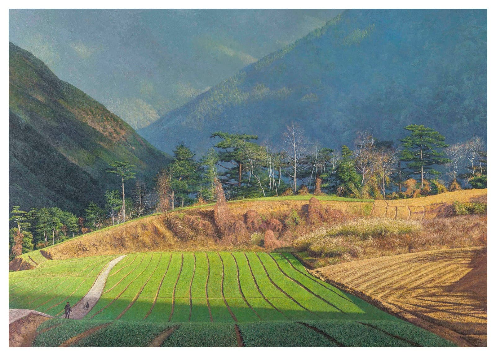 山嵐毓秀映光影