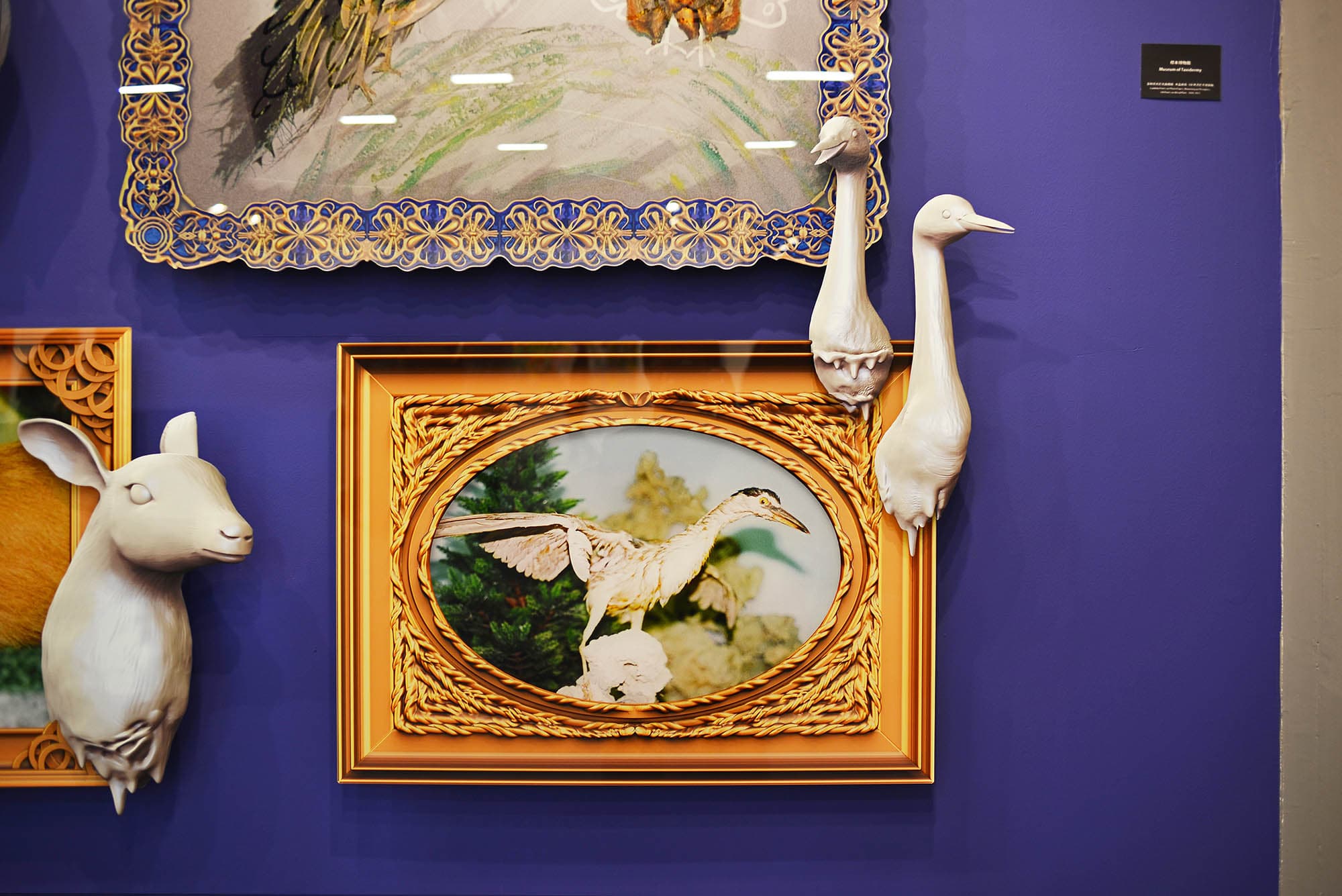 吳權倫_標本博物館-2013新人特區03-S