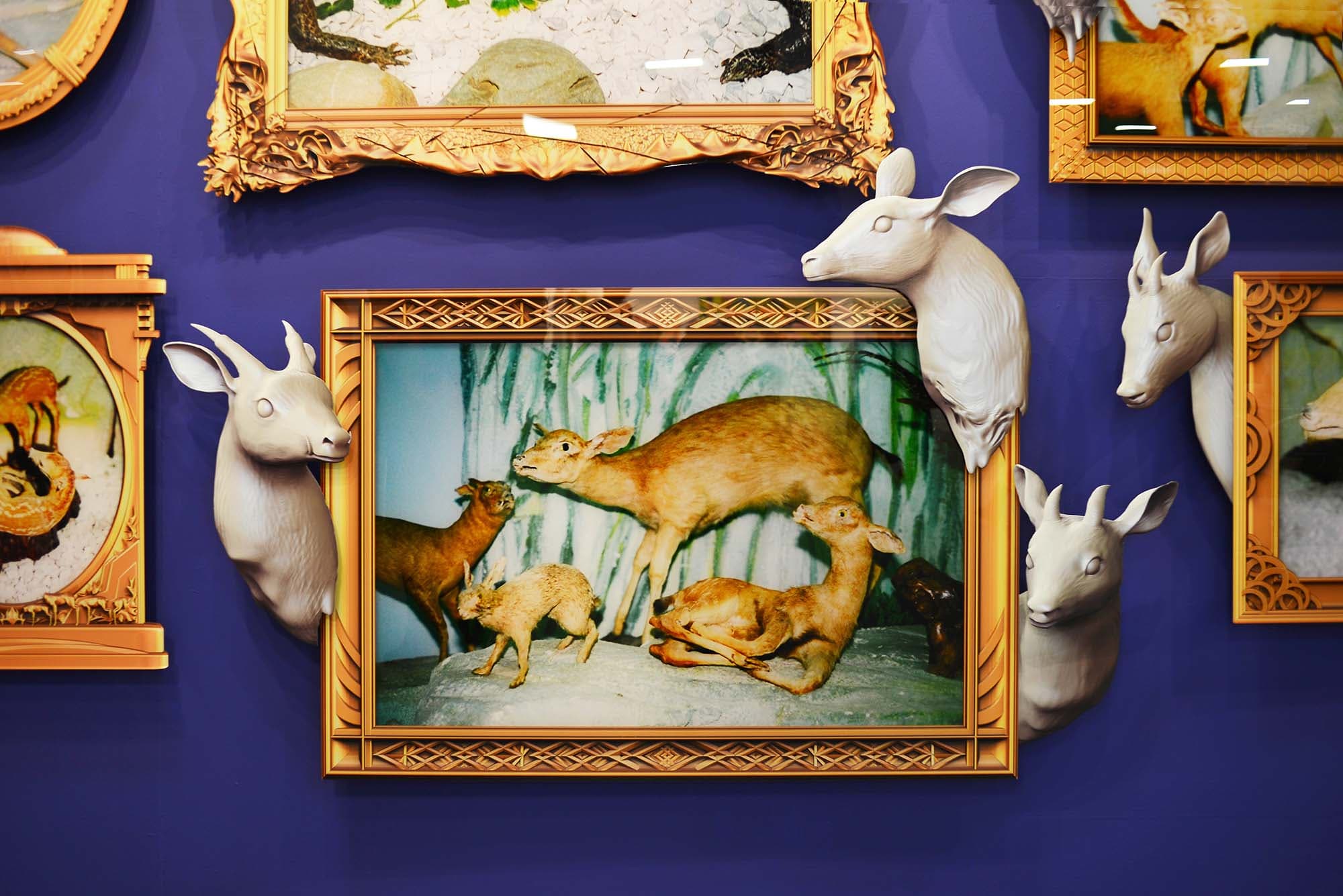 吳權倫_標本博物館-2013新人特區04-S