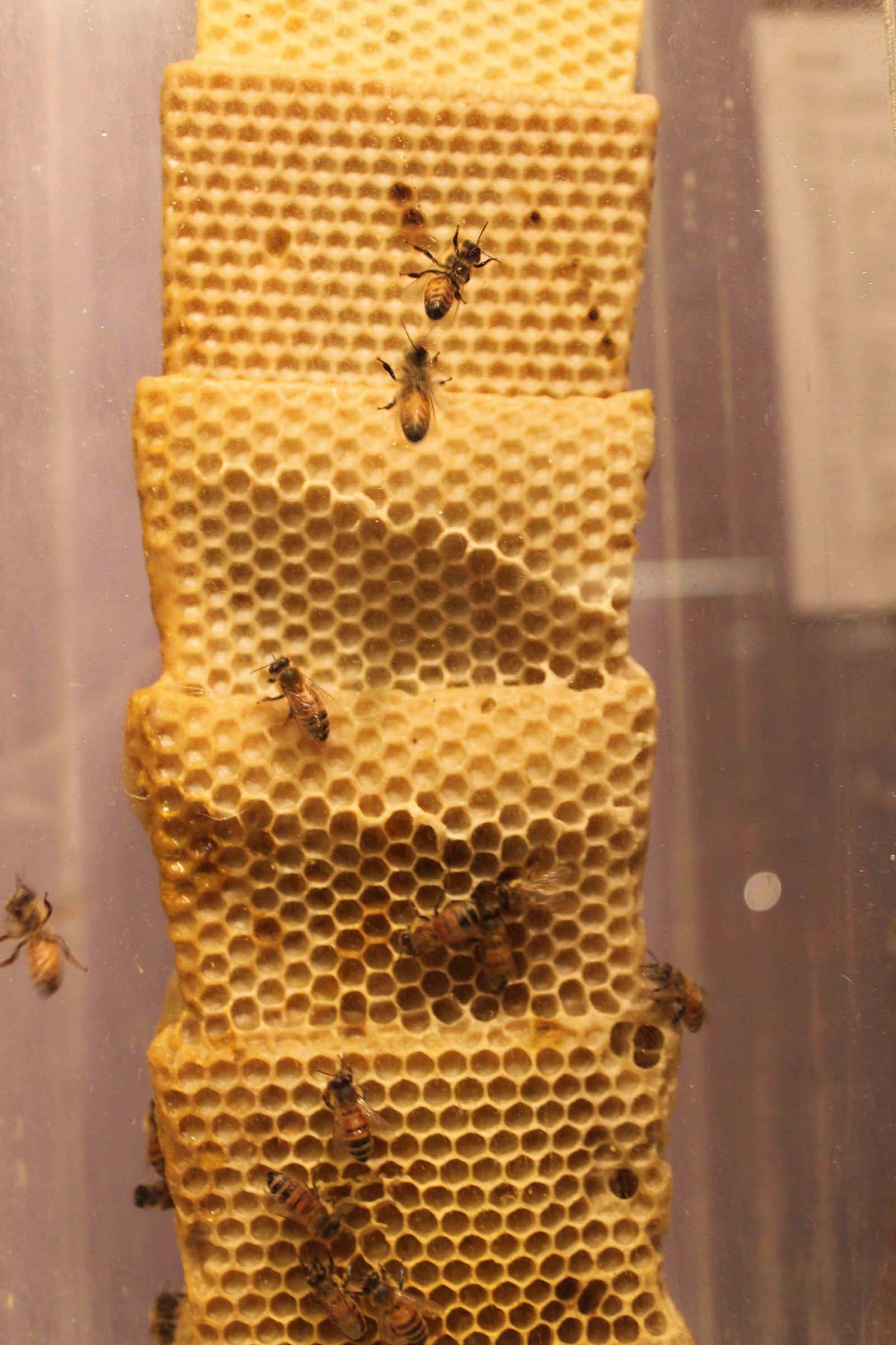 10-陳妍伊-覓域-密域-2