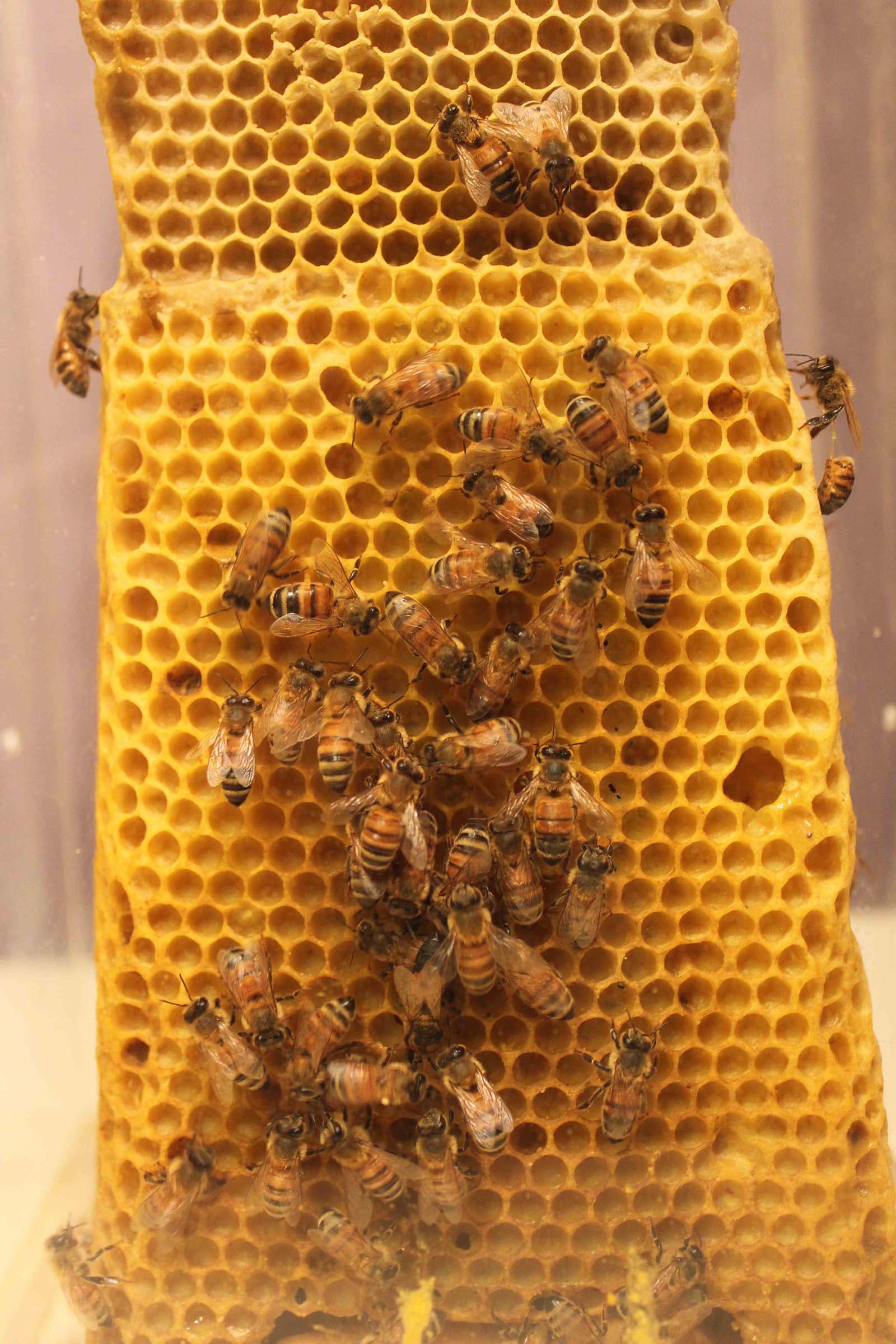 10-陳妍伊-覓域-密域-3