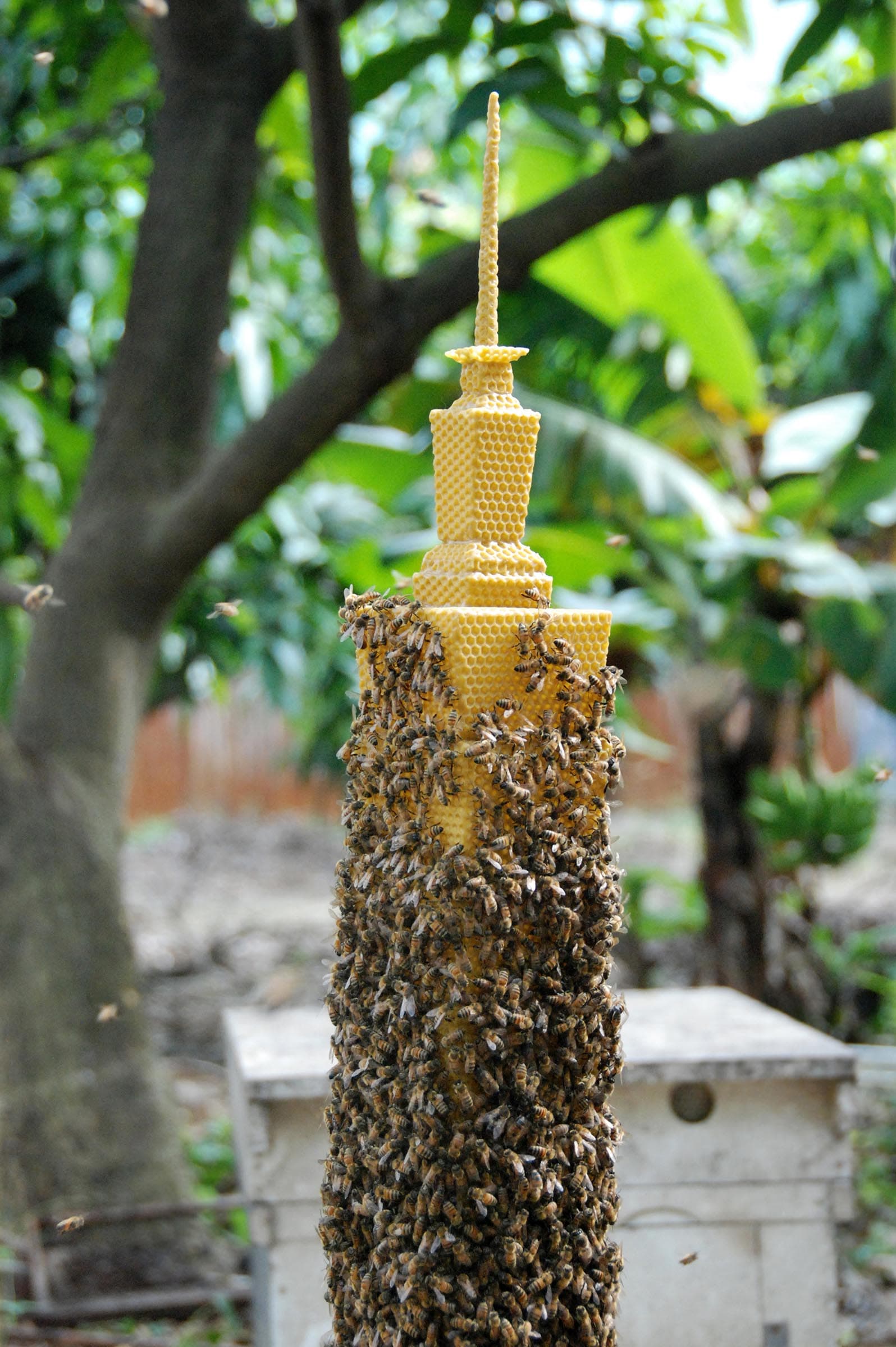 10-陳妍伊-覓域-密域-4