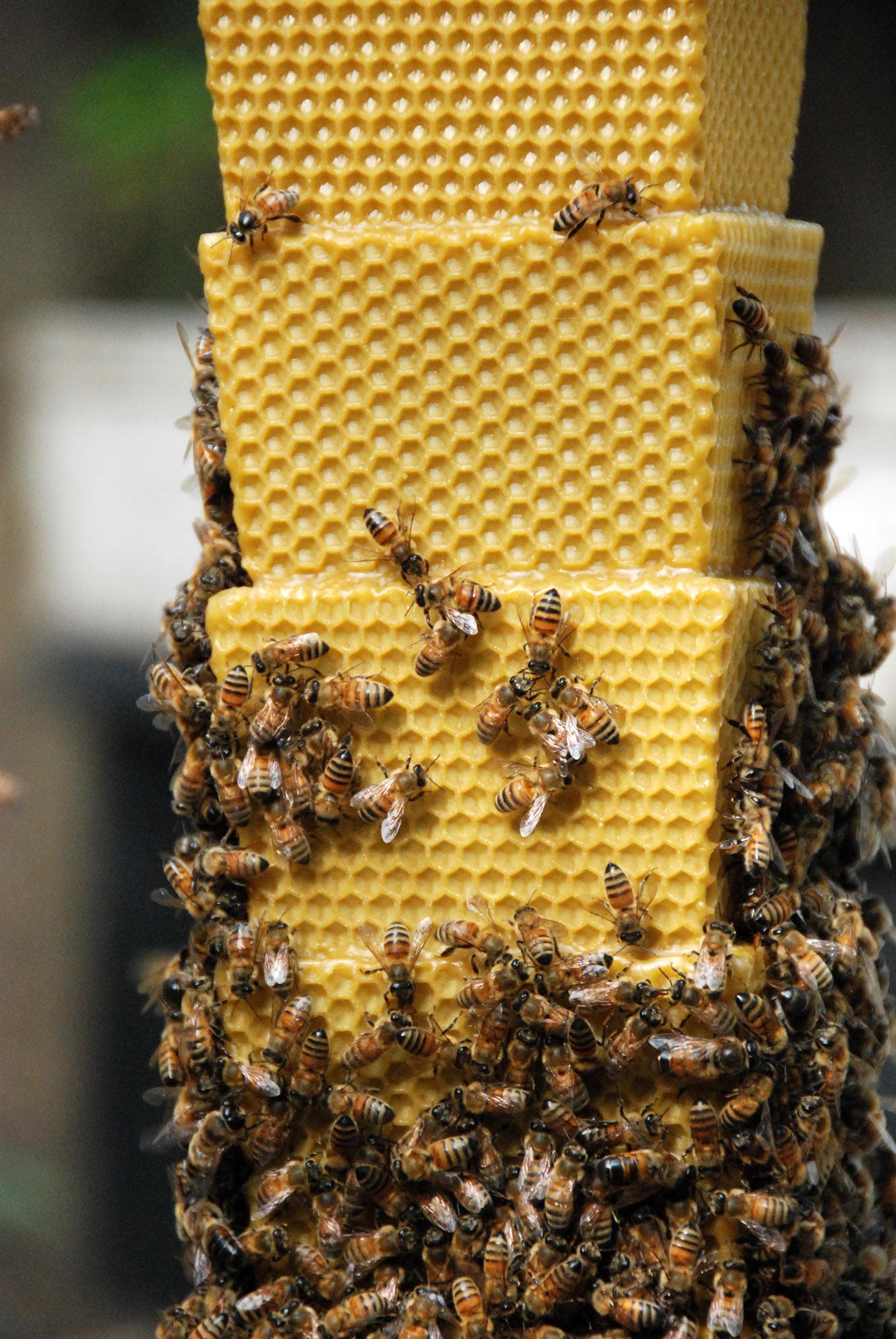 10-陳妍伊-覓域-密域-5