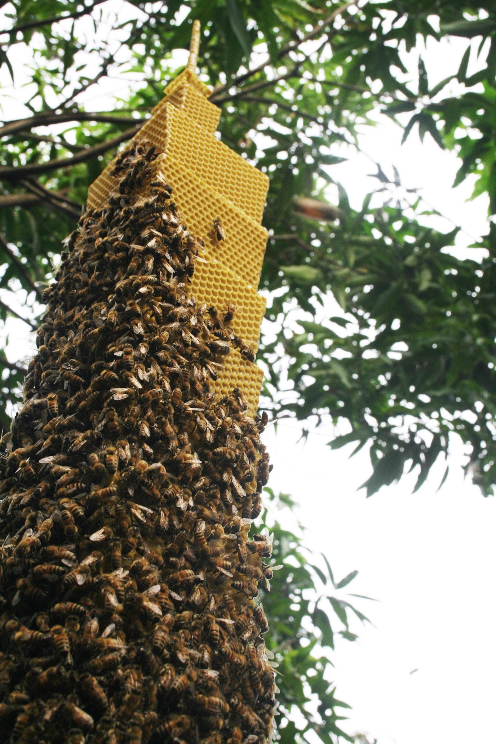 10-陳妍伊-覓域-密域-6