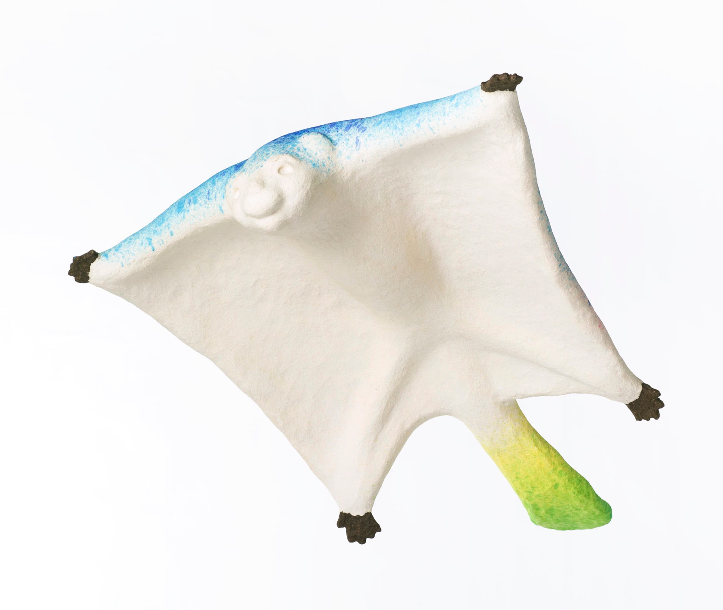 彩虹雨村落的飛鼠