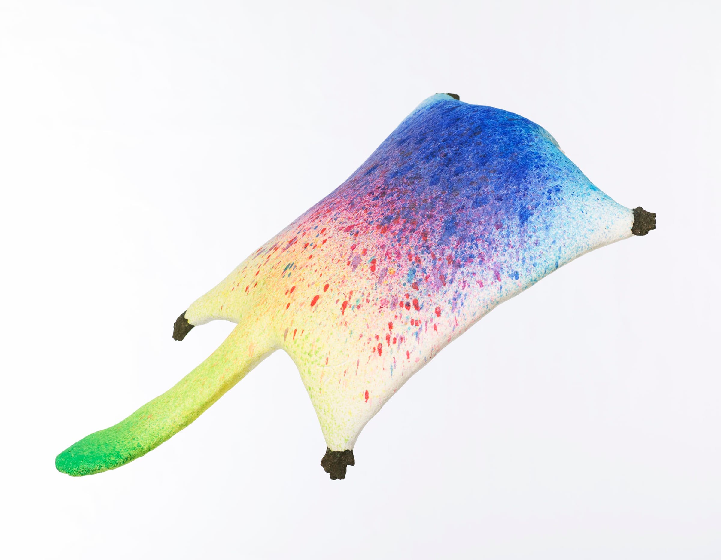 10.彩虹雨村落的飛鼠-2