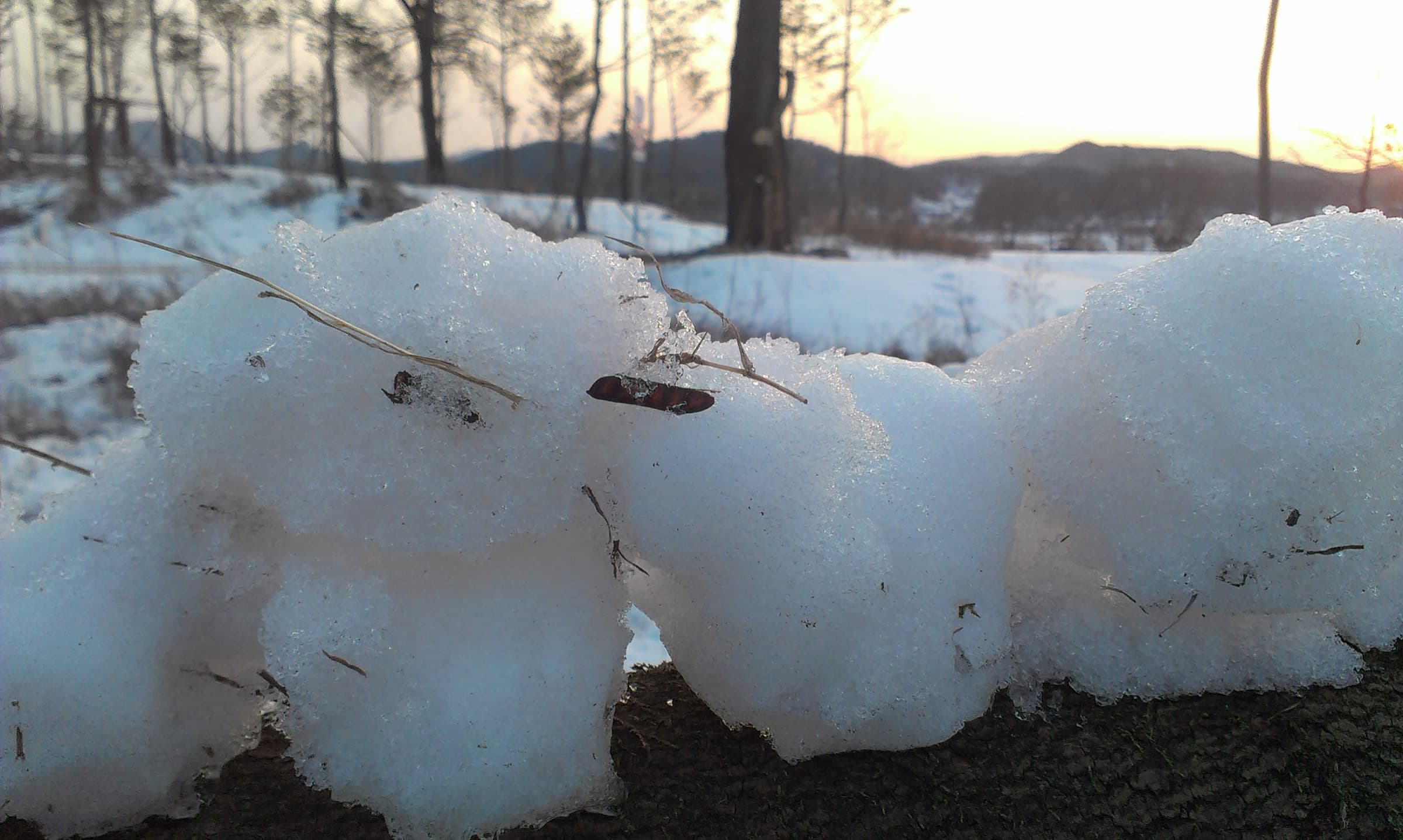 2013-02-雪脈Snow-pulse03