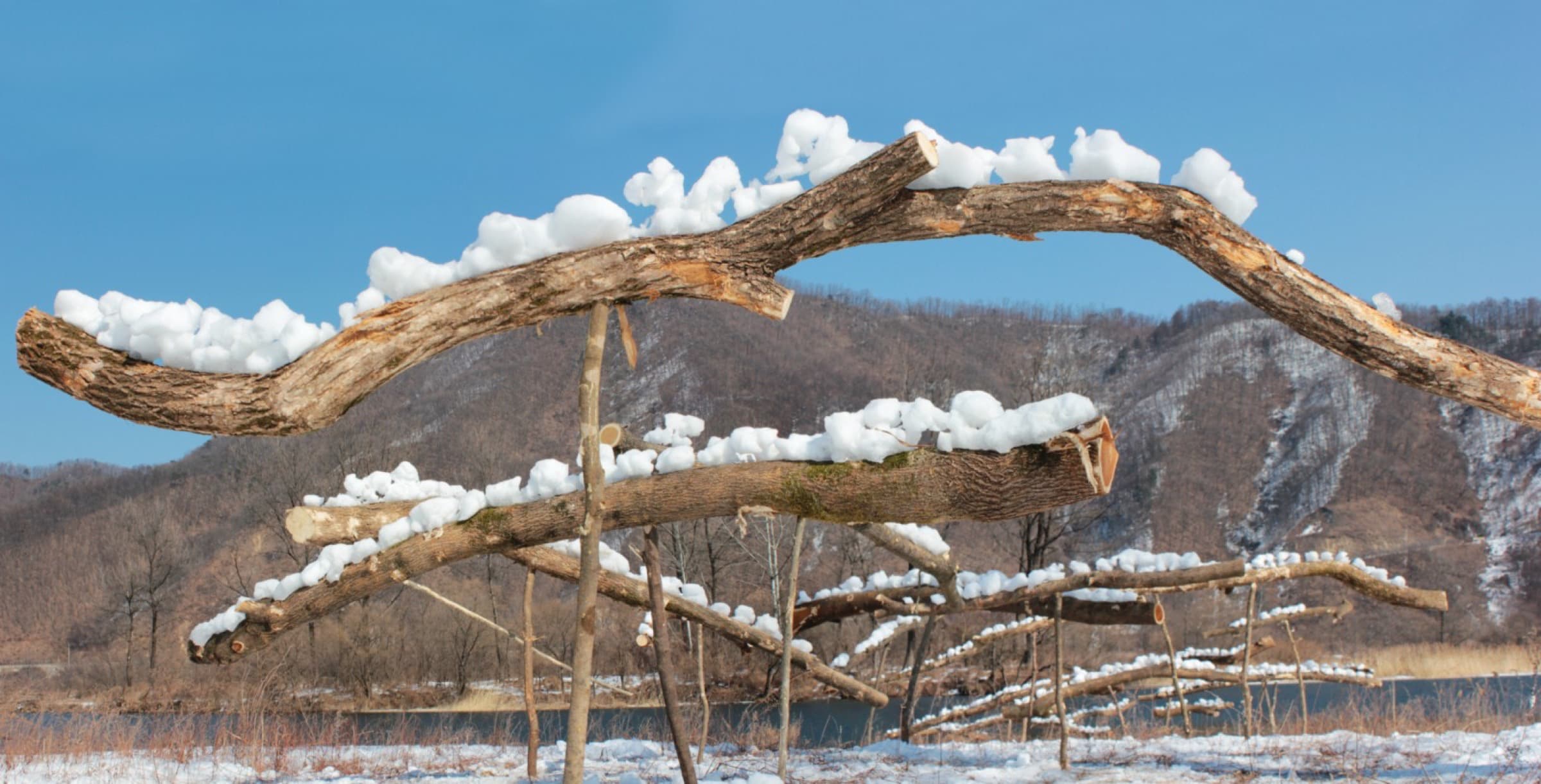 2013-02-雪脈Snow-pulse04