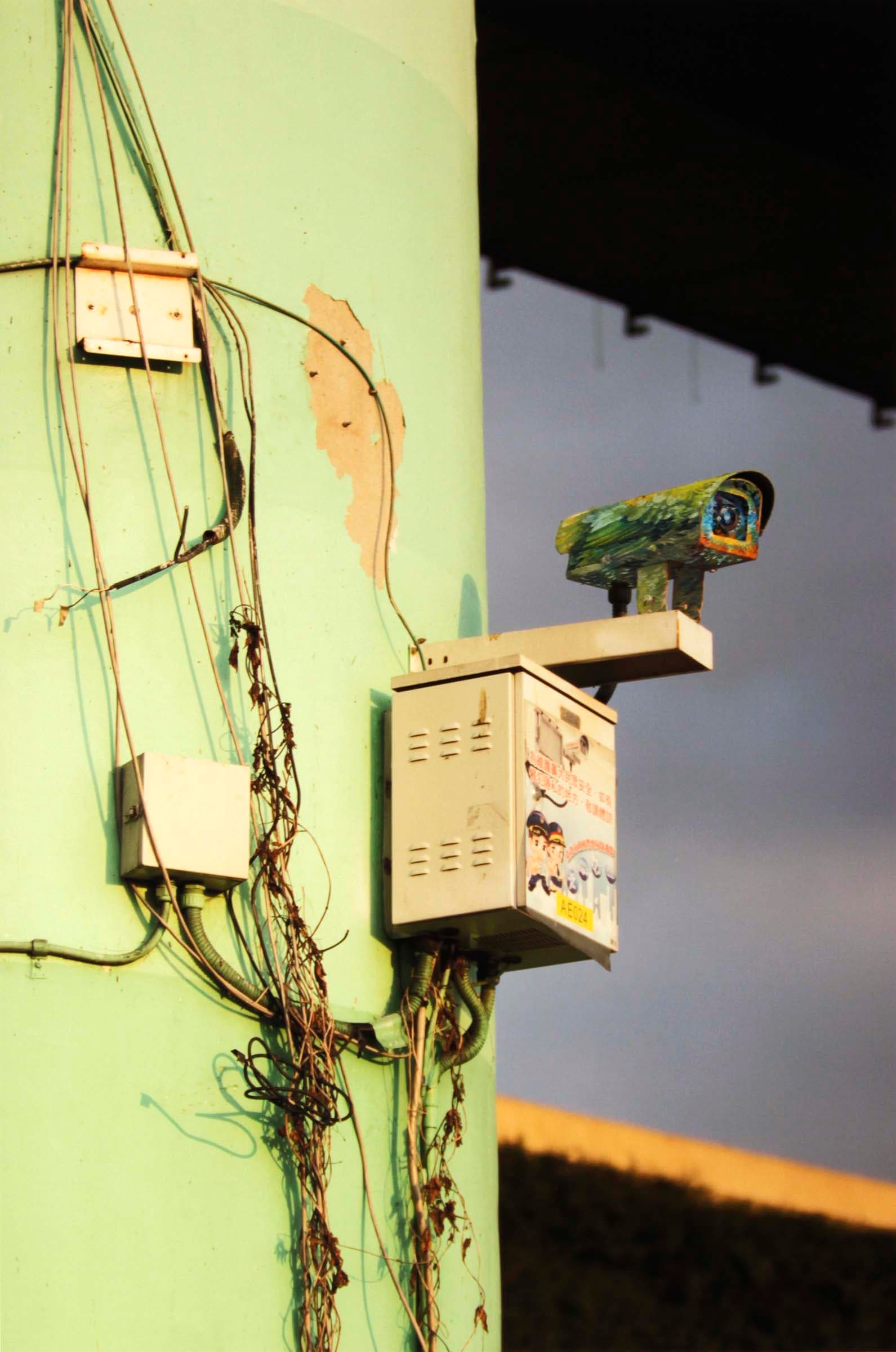 3-3-陳妍伊-良禽擇木而居-NO.6