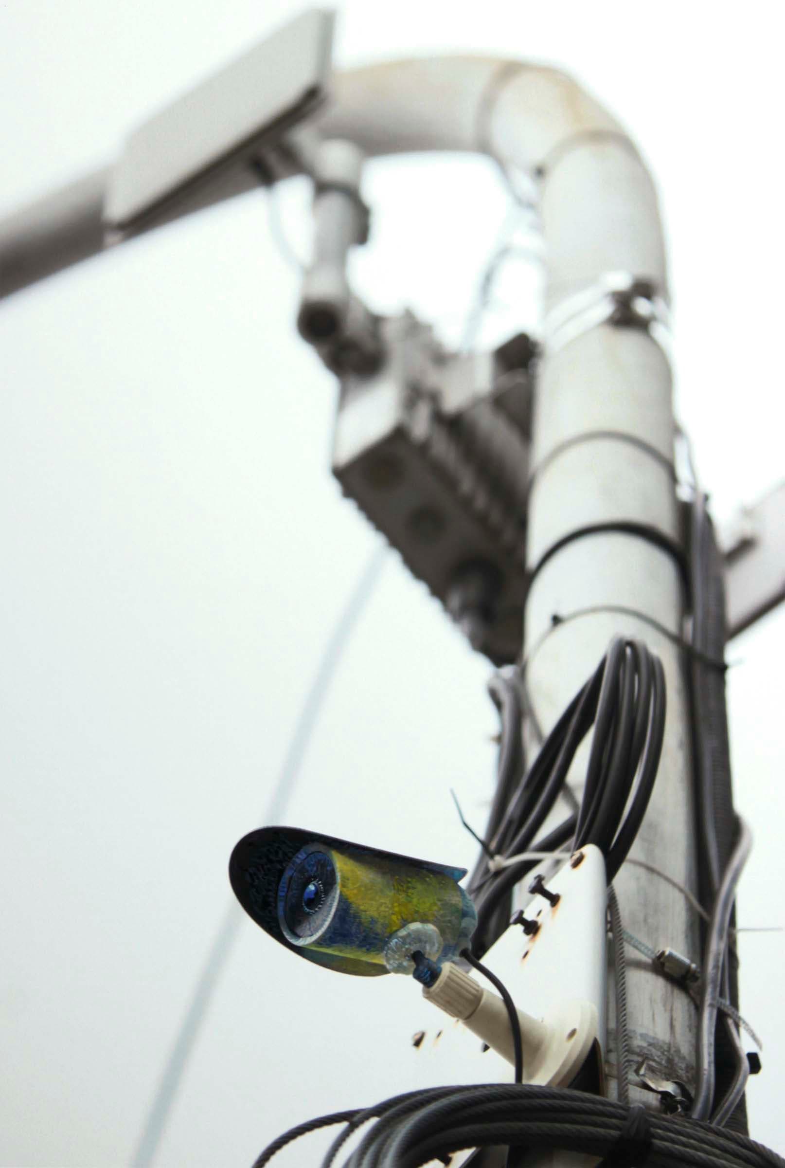 3-3-陳妍伊-良禽擇木而居-NO.7