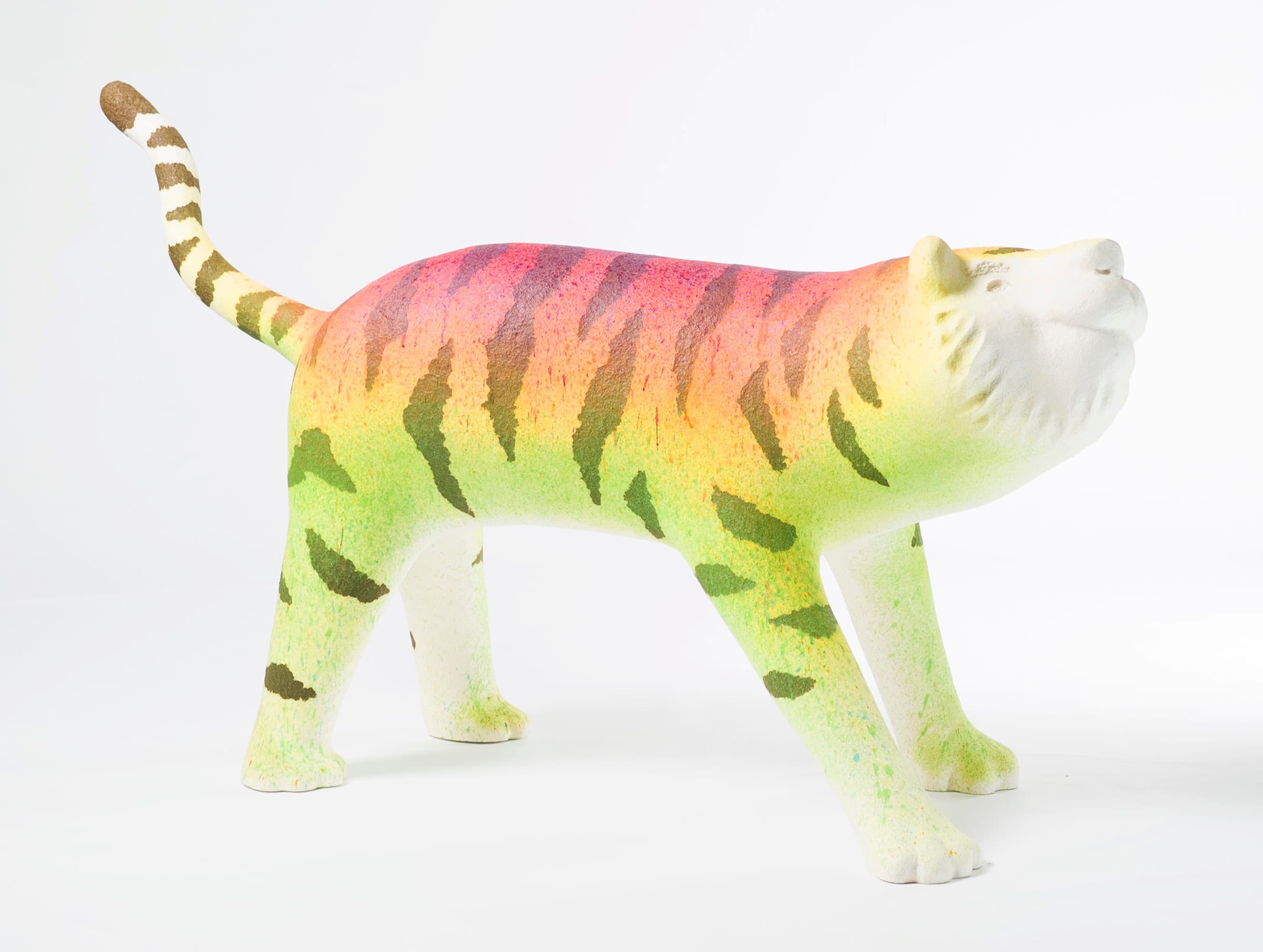 彩虹雨村落的老虎