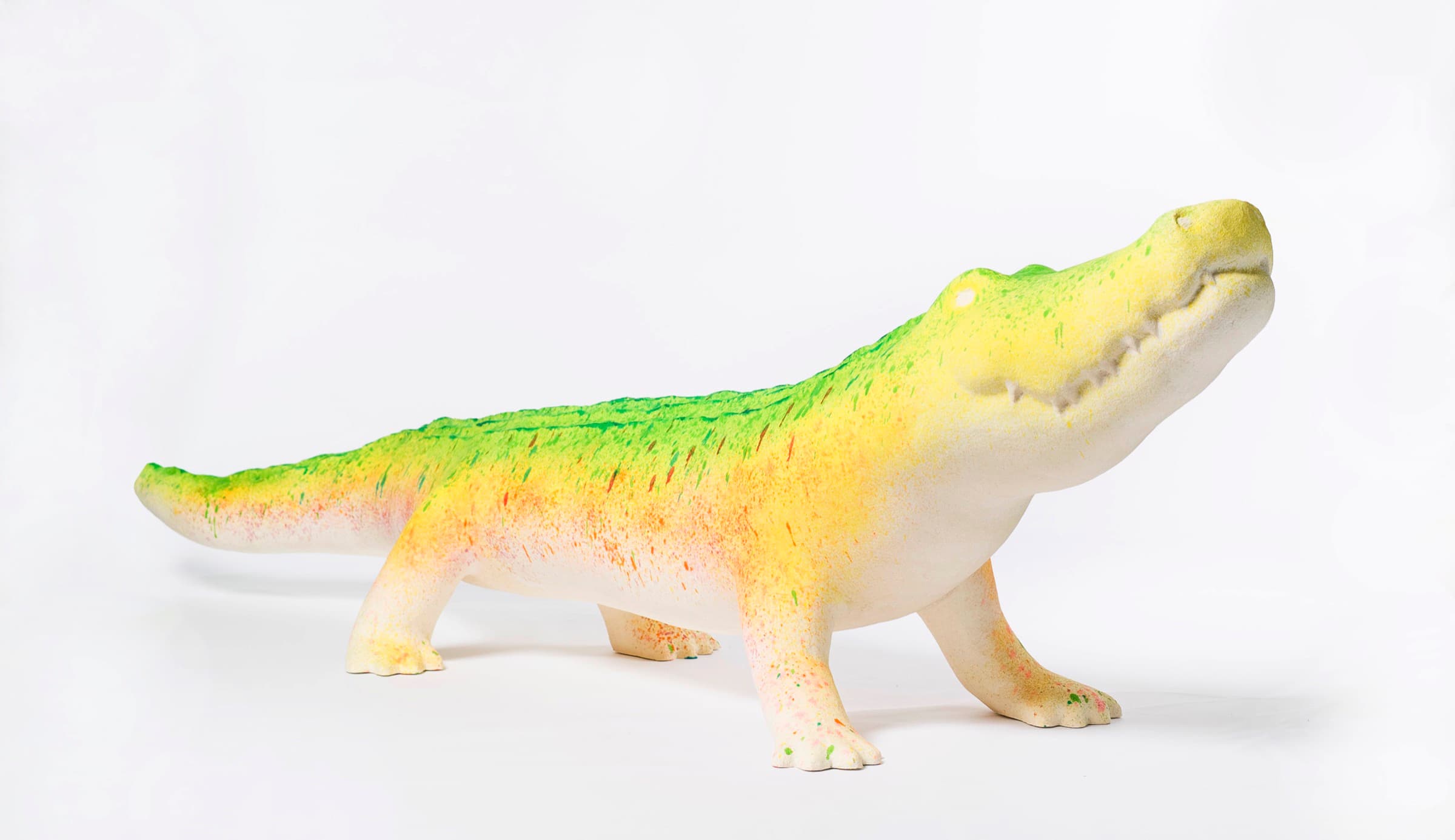 彩虹雨村落的鱷魚