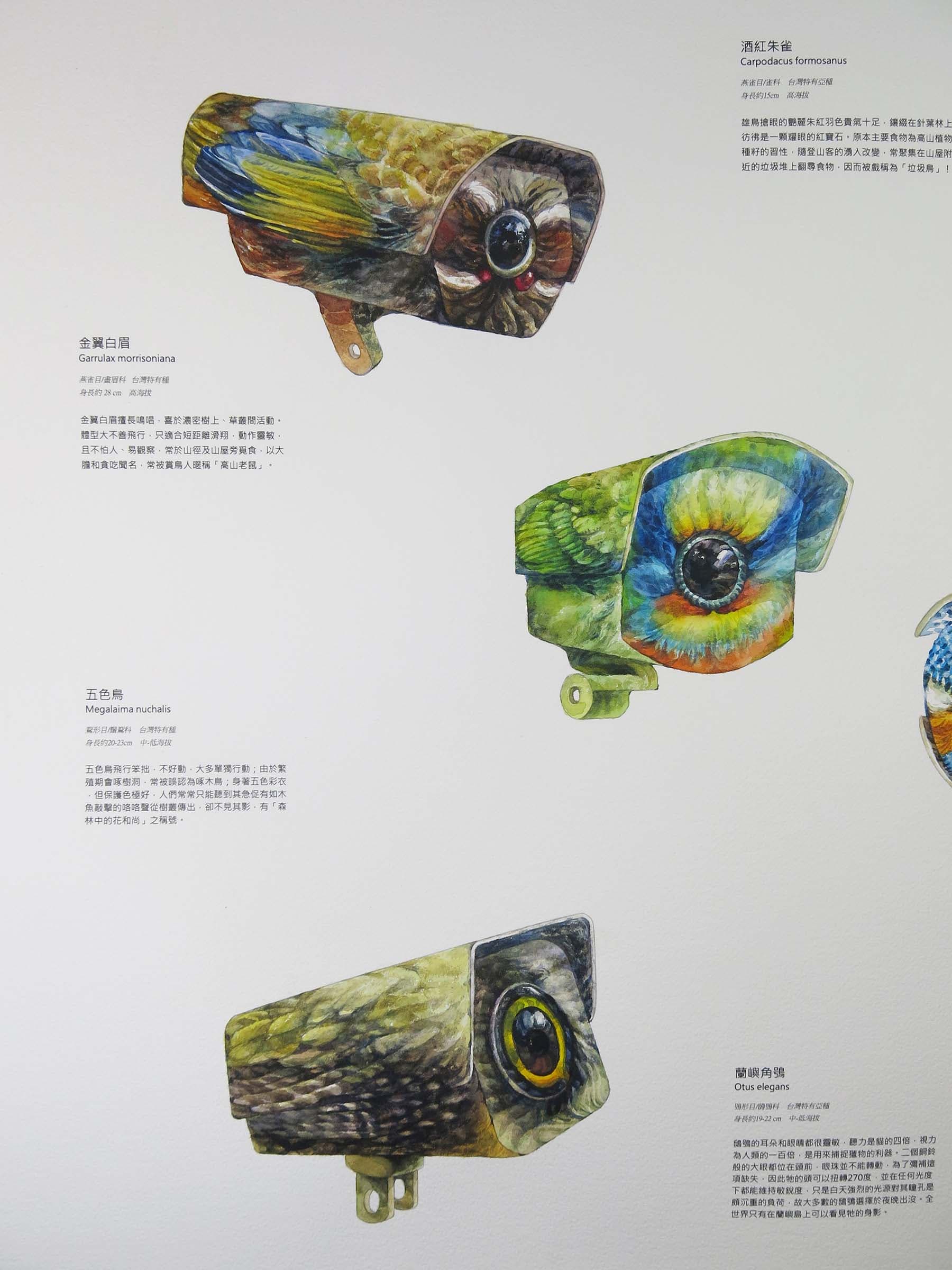 5-陳妍伊-都市迷鳥-特寫-2