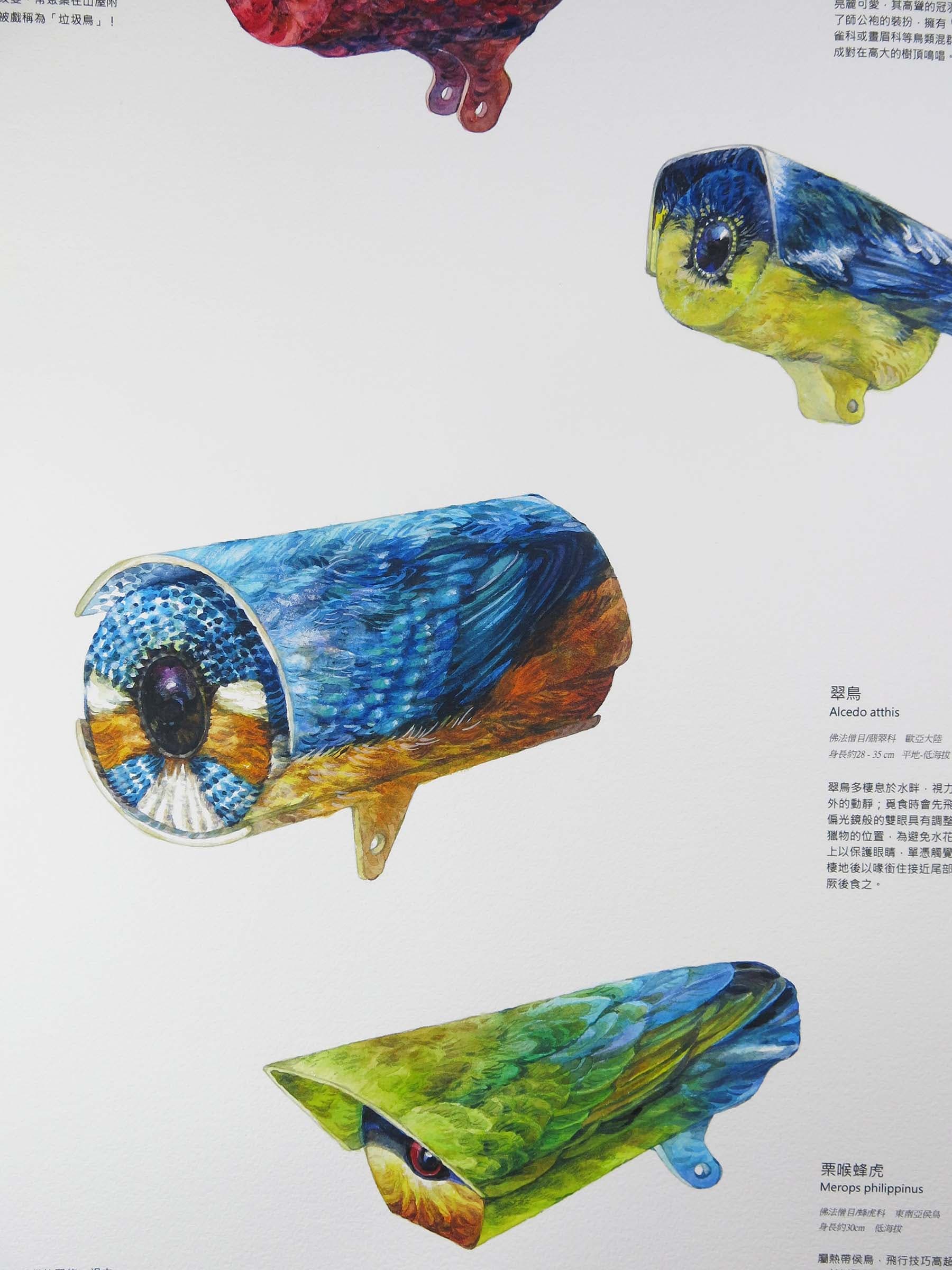 5-陳妍伊-都市迷鳥-特寫-3