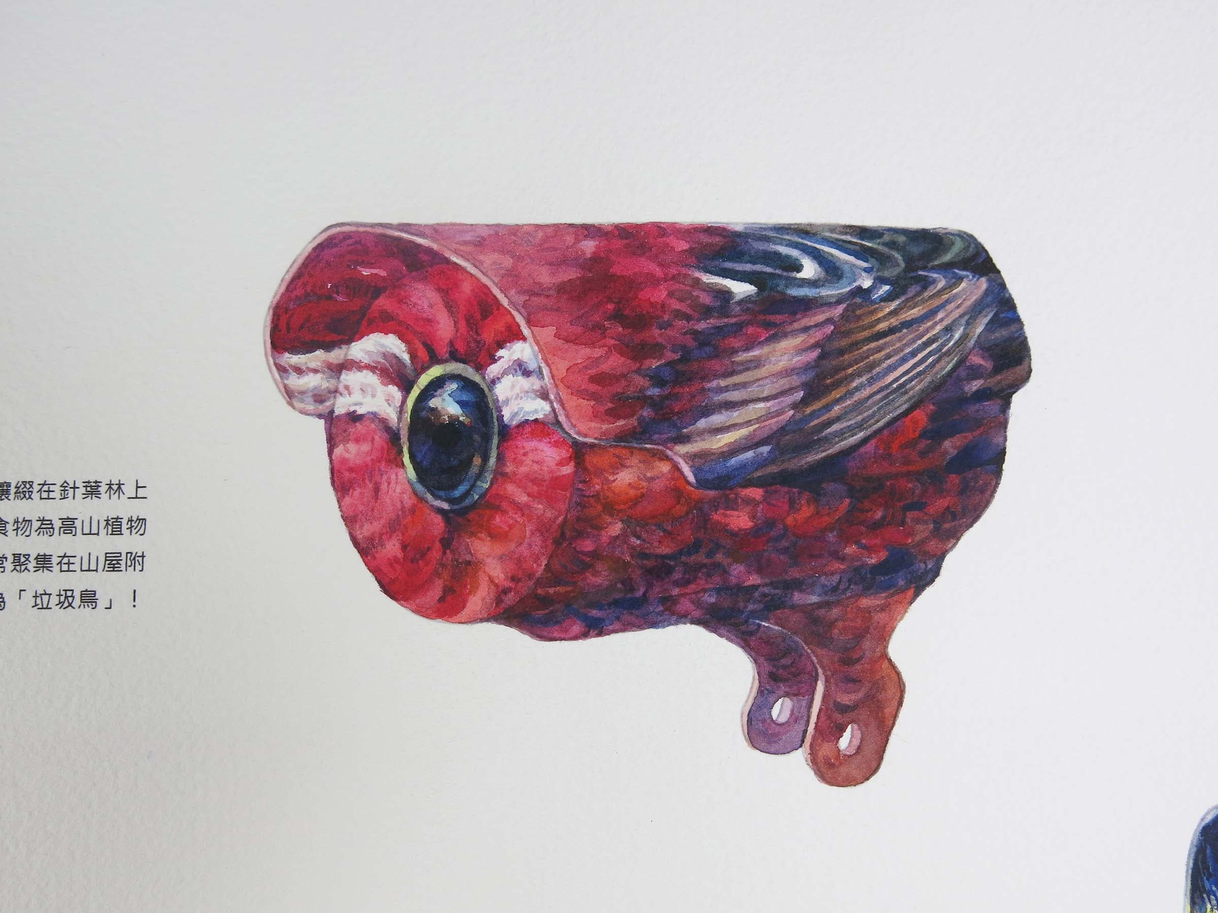 5-陳妍伊-都市迷鳥-特寫-4