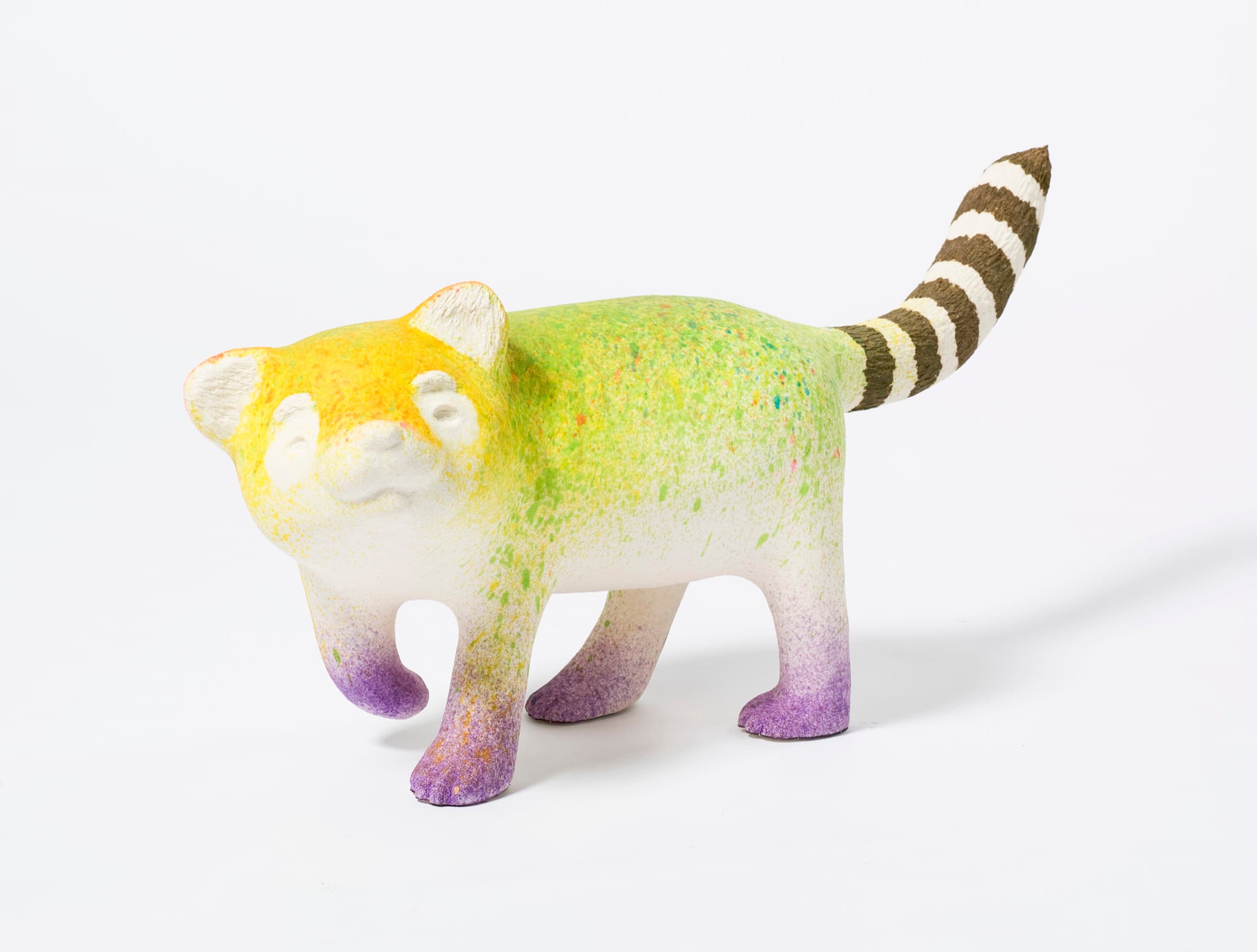 彩虹雨村落的浣熊