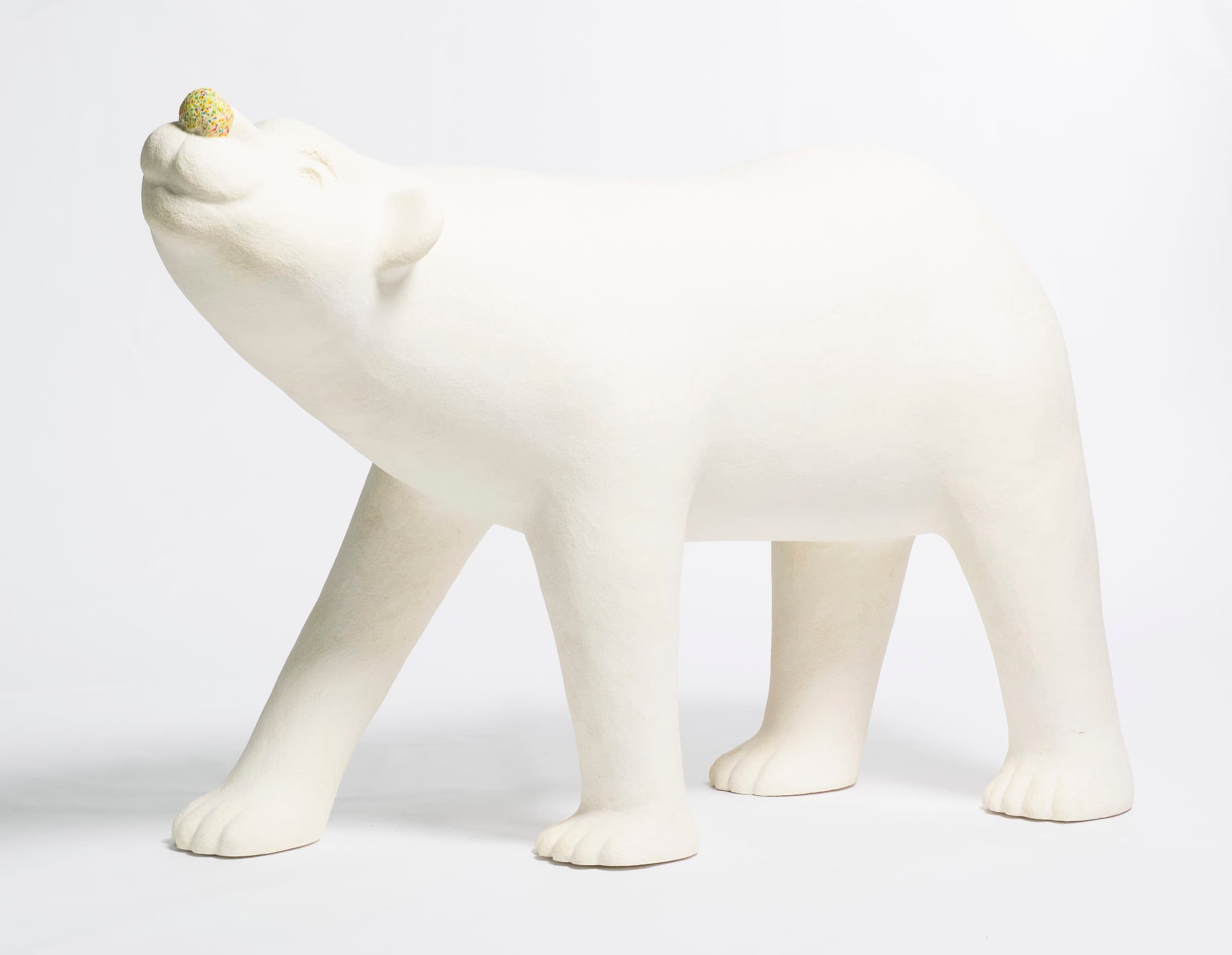 彩虹雨村落的北極熊