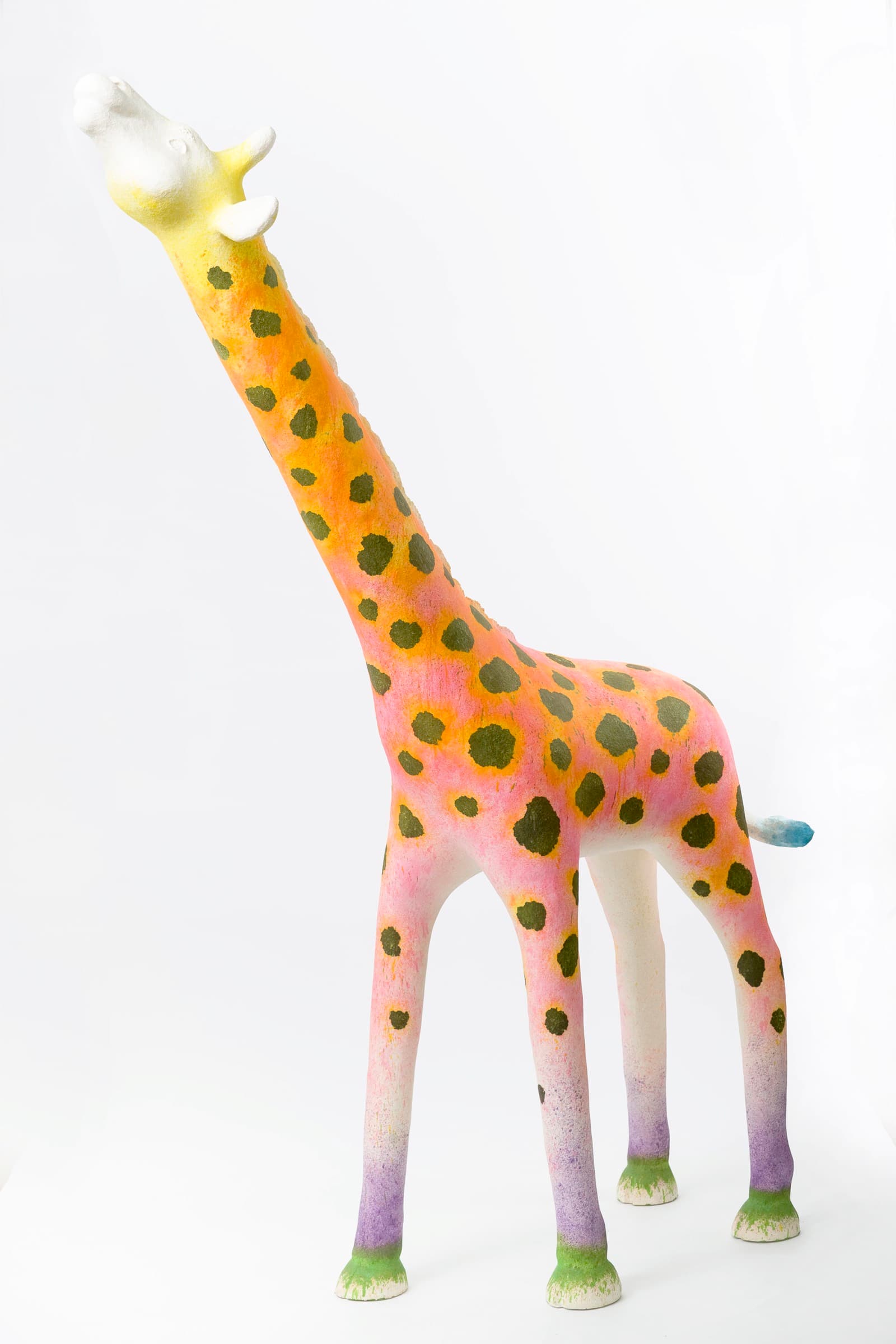 彩虹雨村落的長頸鹿