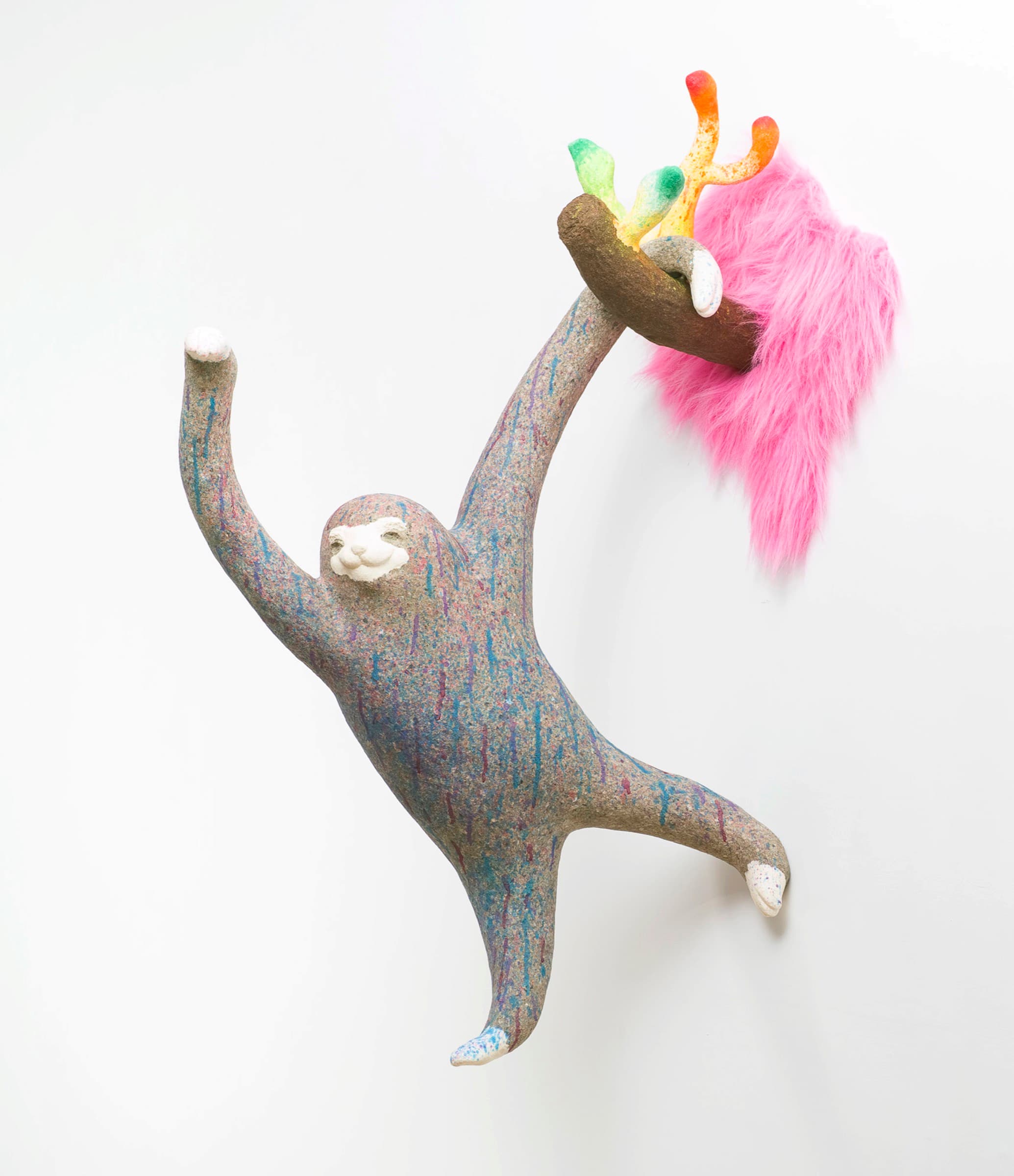 彩虹雨村落的樹懶