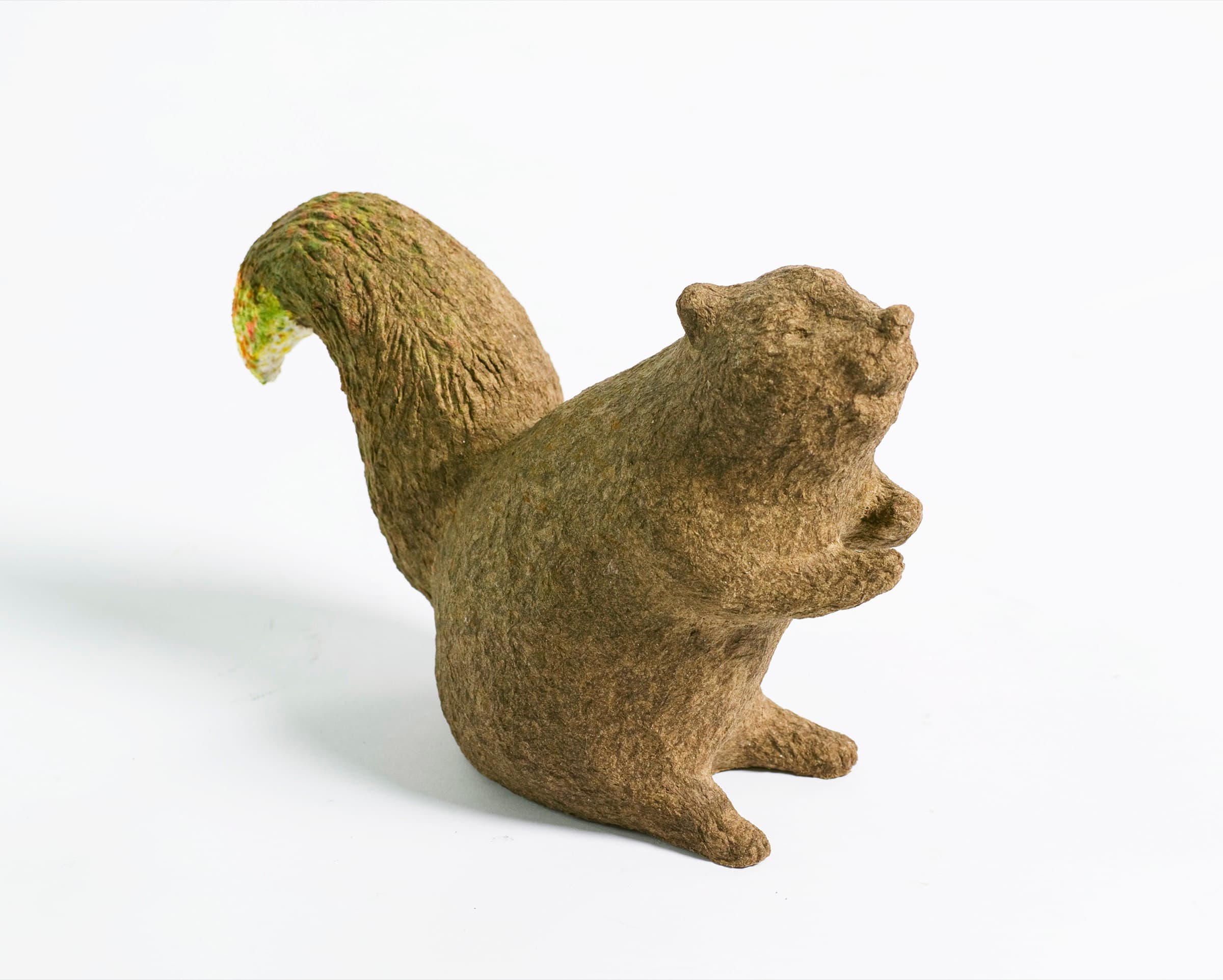 彩虹雨村落的松鼠