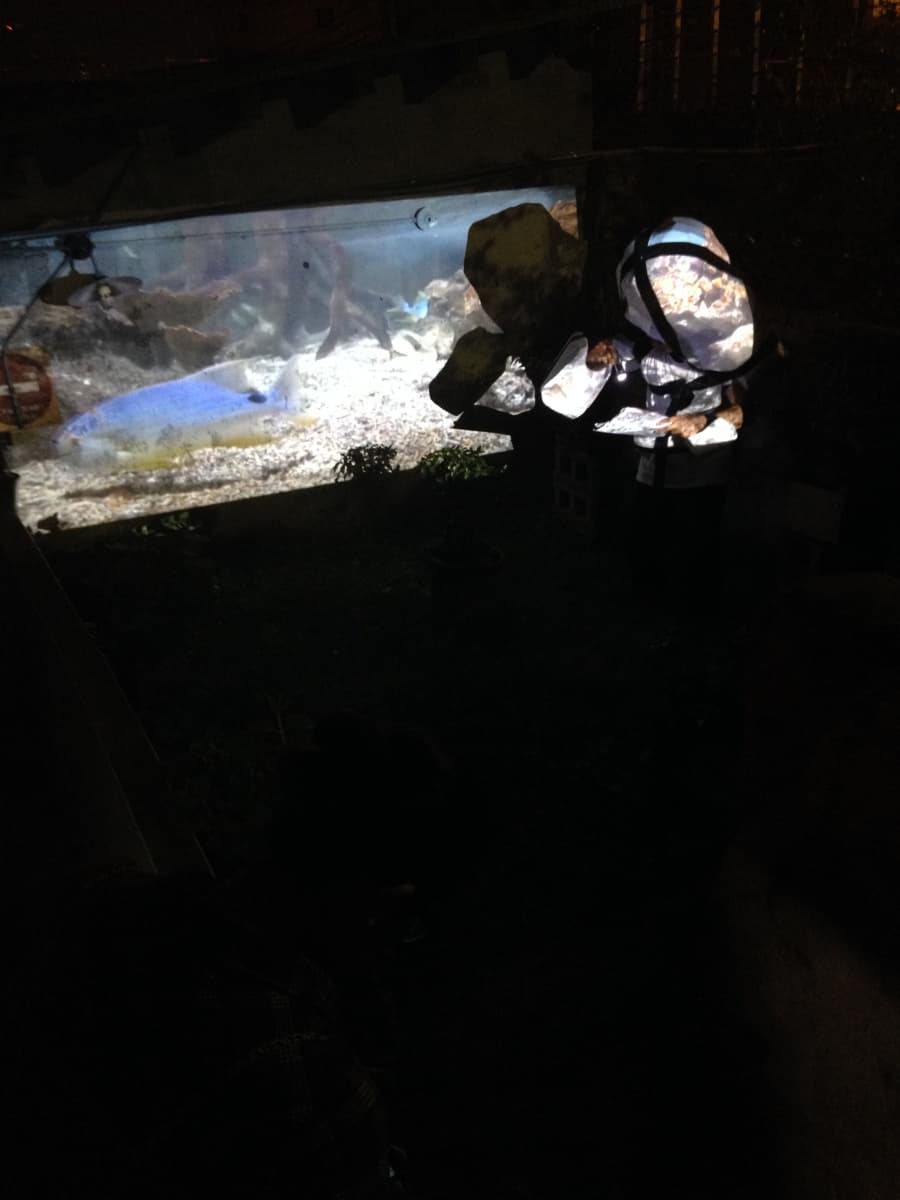 台灣國際錄像雙年展