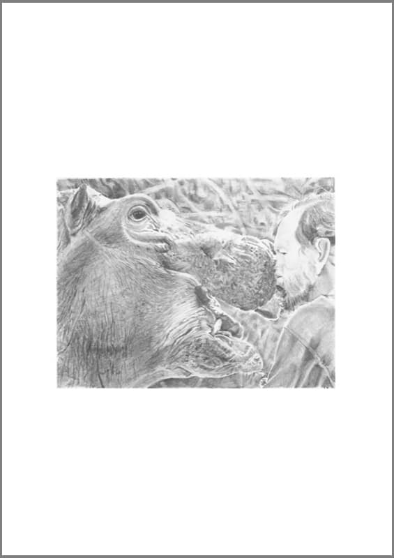 Domestication-020-Hippo_web