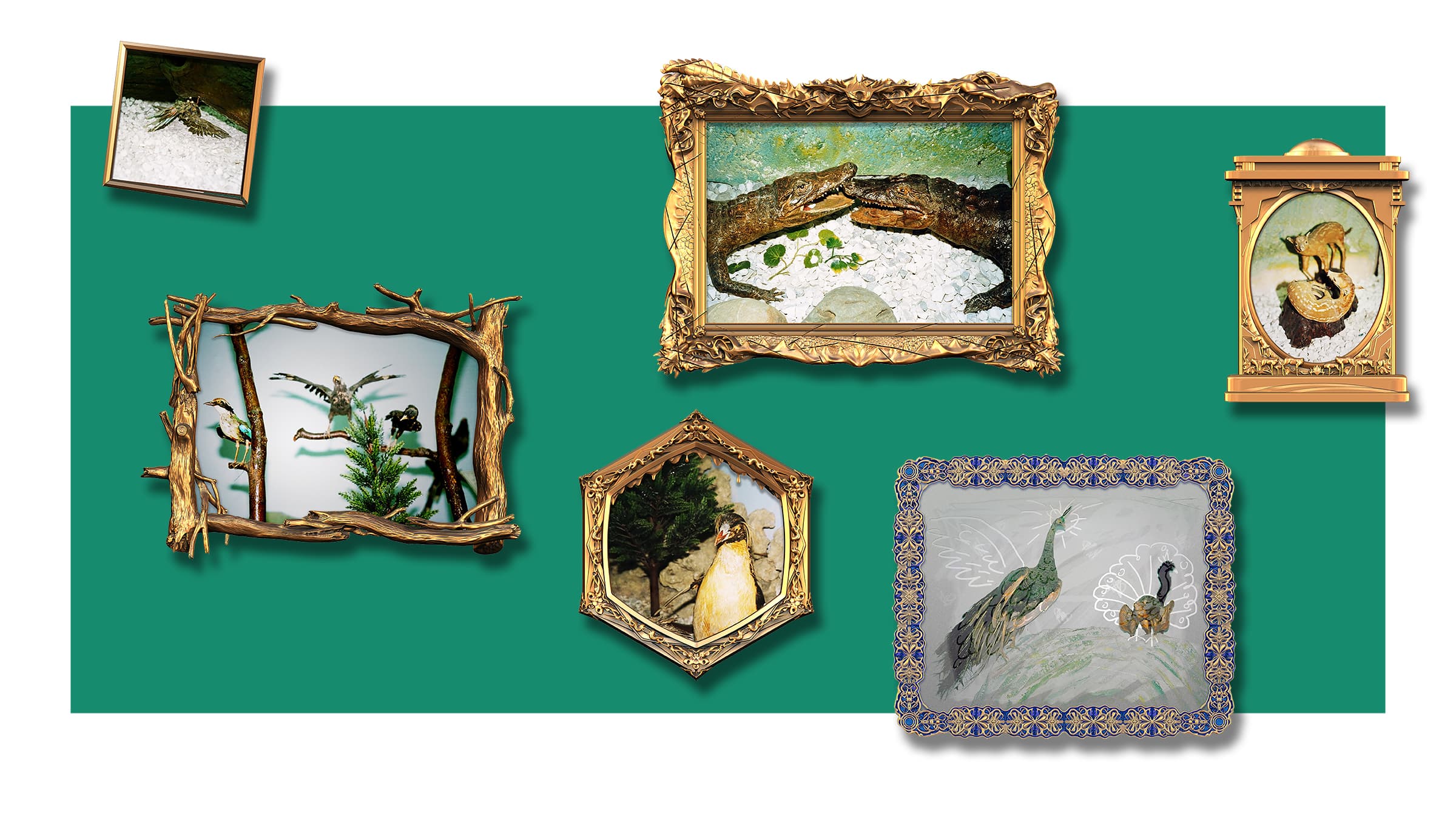 MOT-C01-1350X2400pp-300dpi