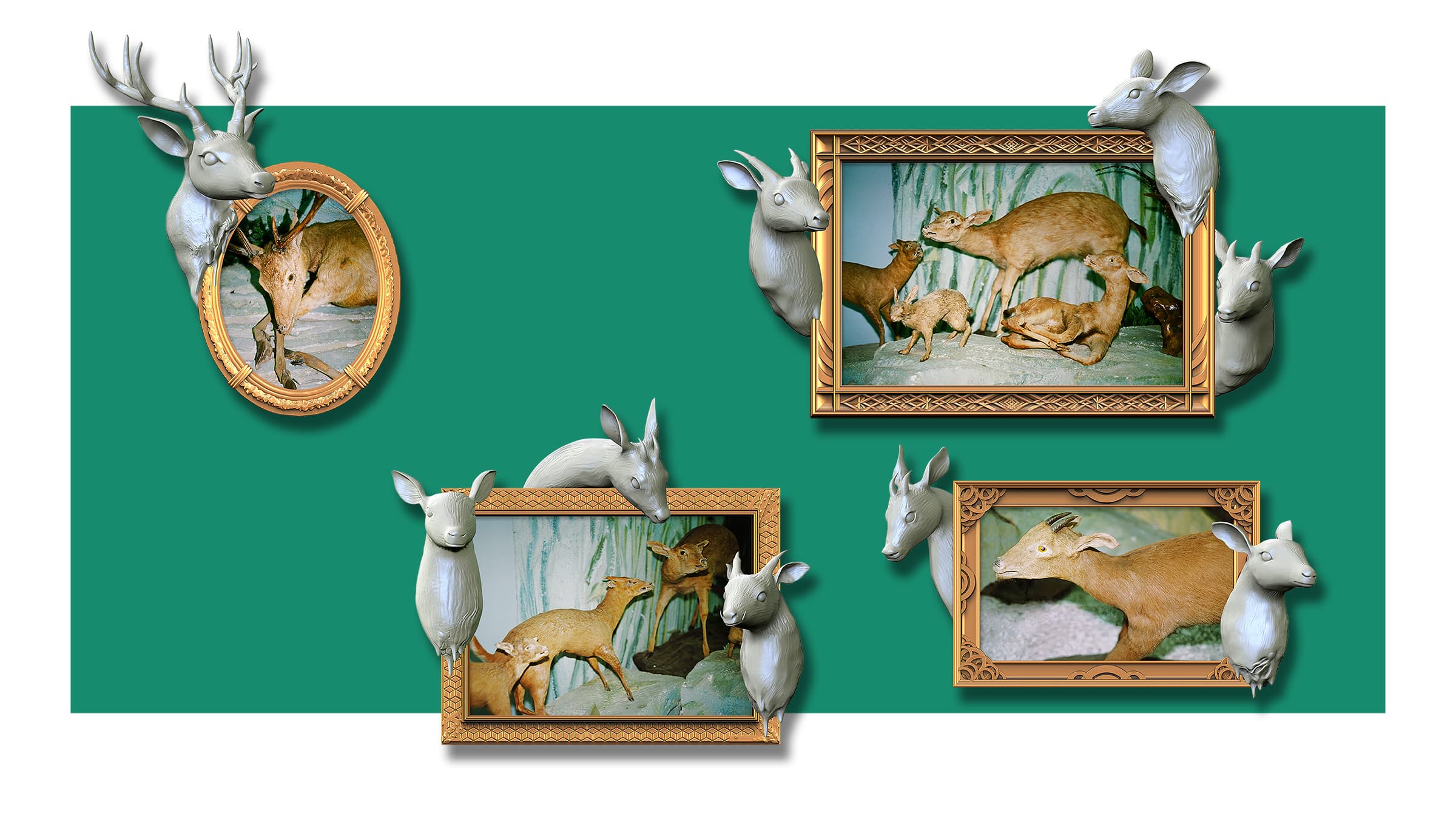 MOT-C02-1350X2400pp-300dpi