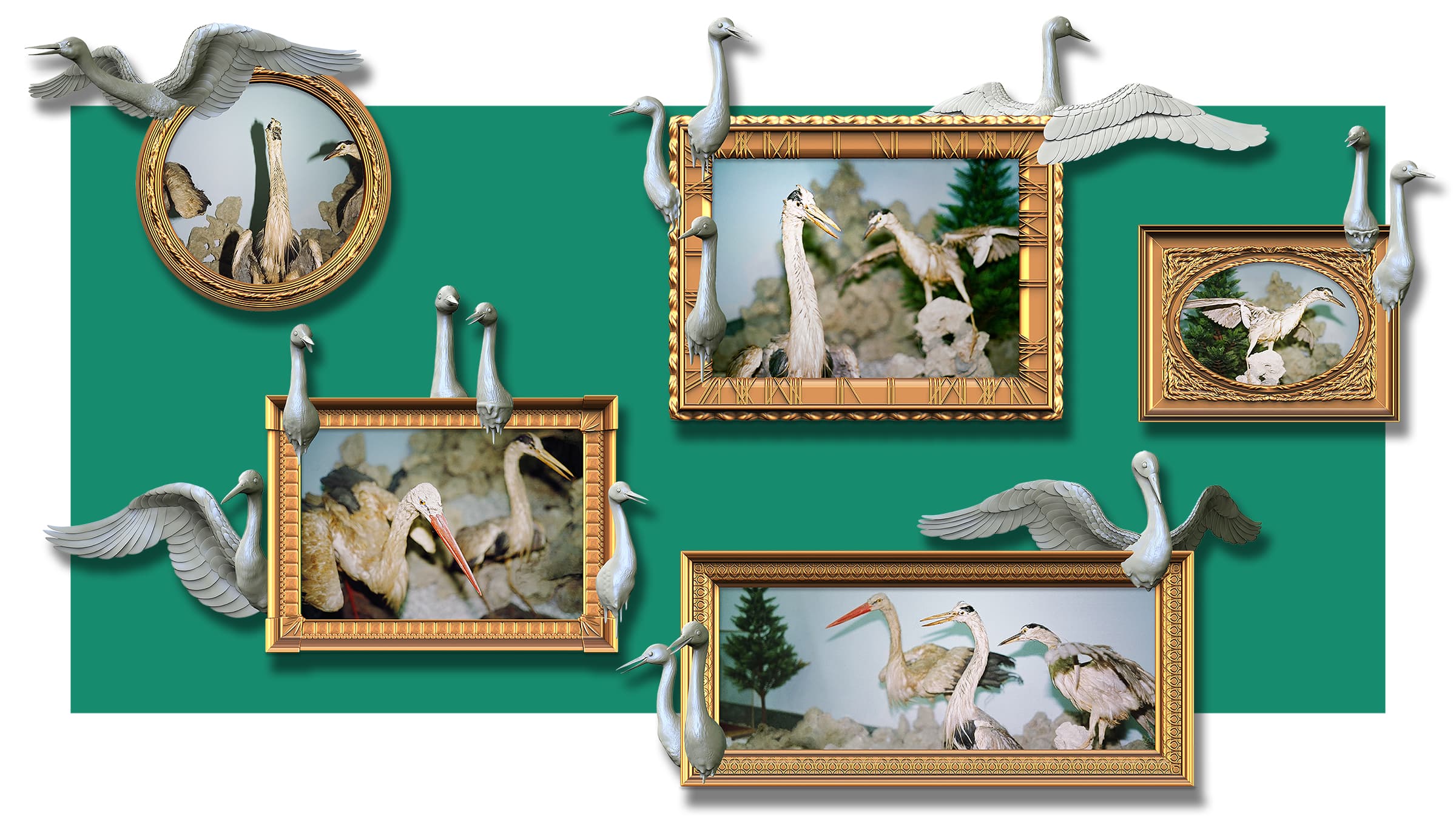 MOT-C03-1350X2400pp-300dpi